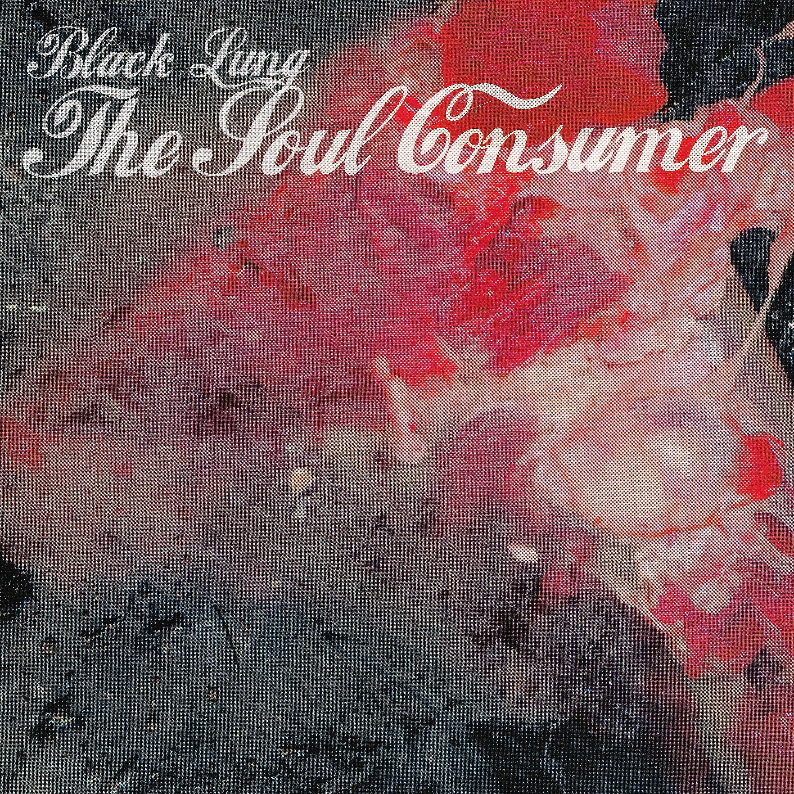 Постер альбома The Soul Counsumer