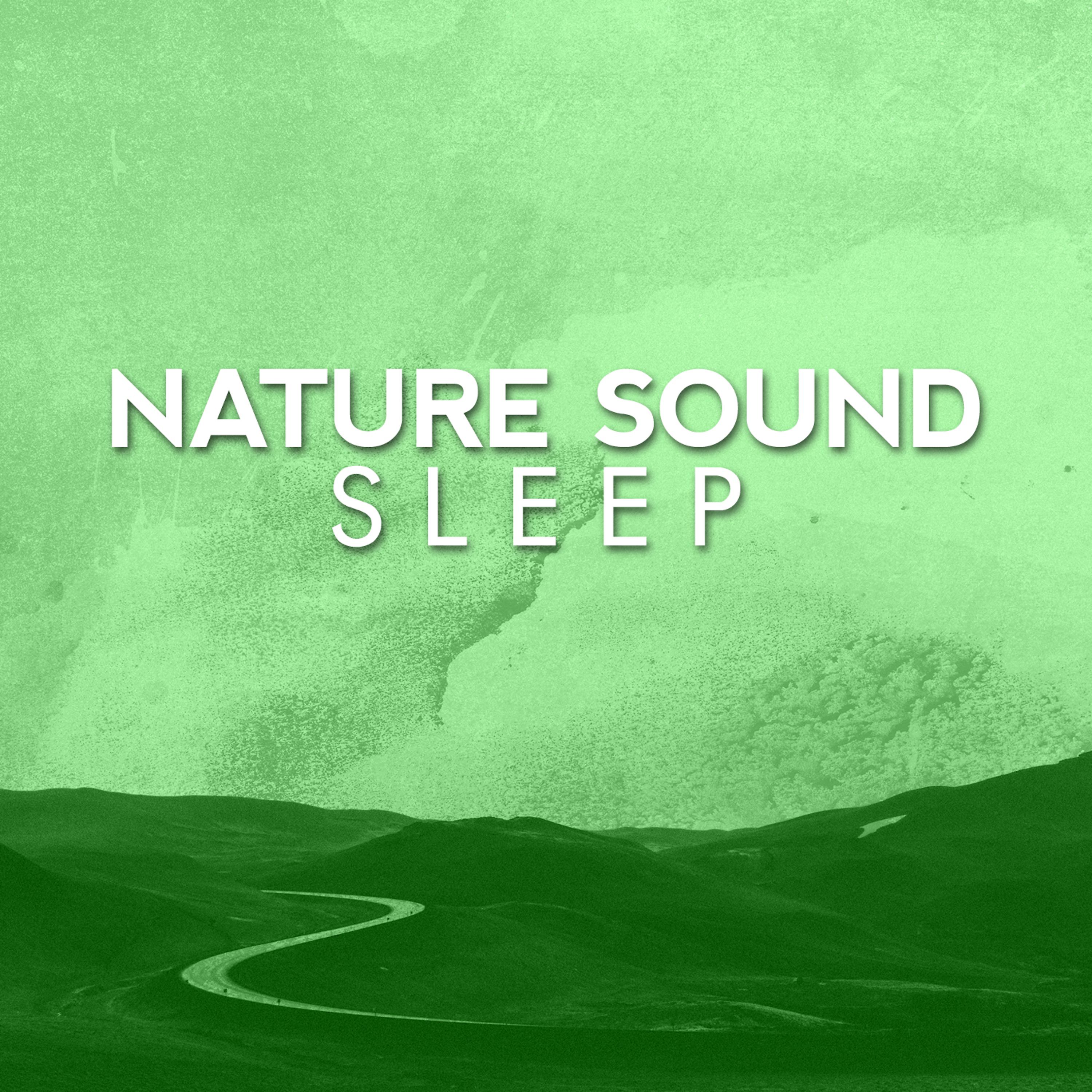 Постер альбома Nature Sound Sleep