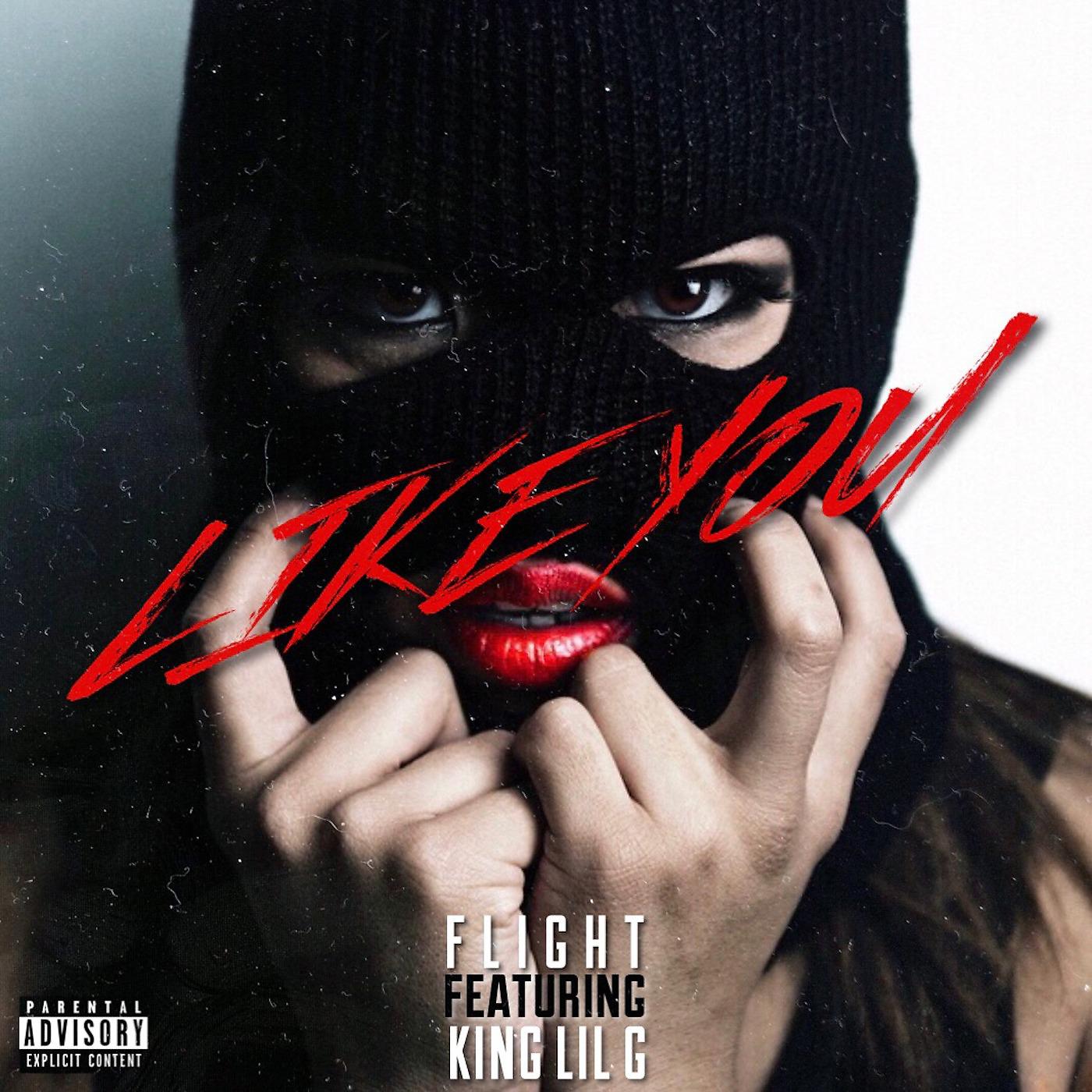 Постер альбома Like You (feat. King Lil G)