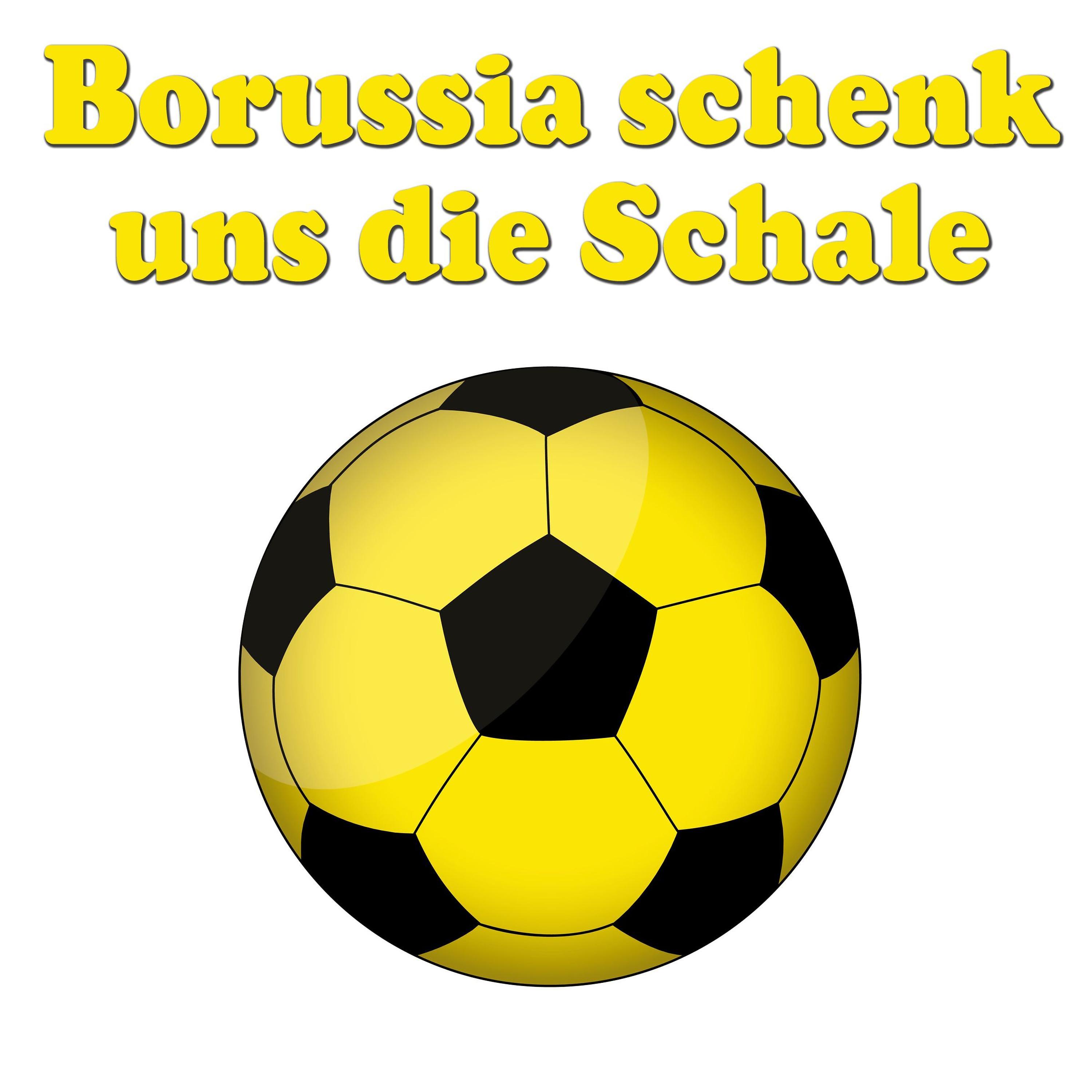 Постер альбома Borussia schenk' uns die Schale