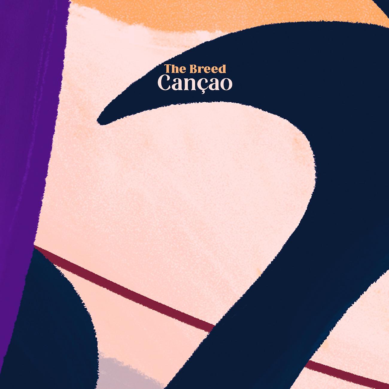 Постер альбома Canção