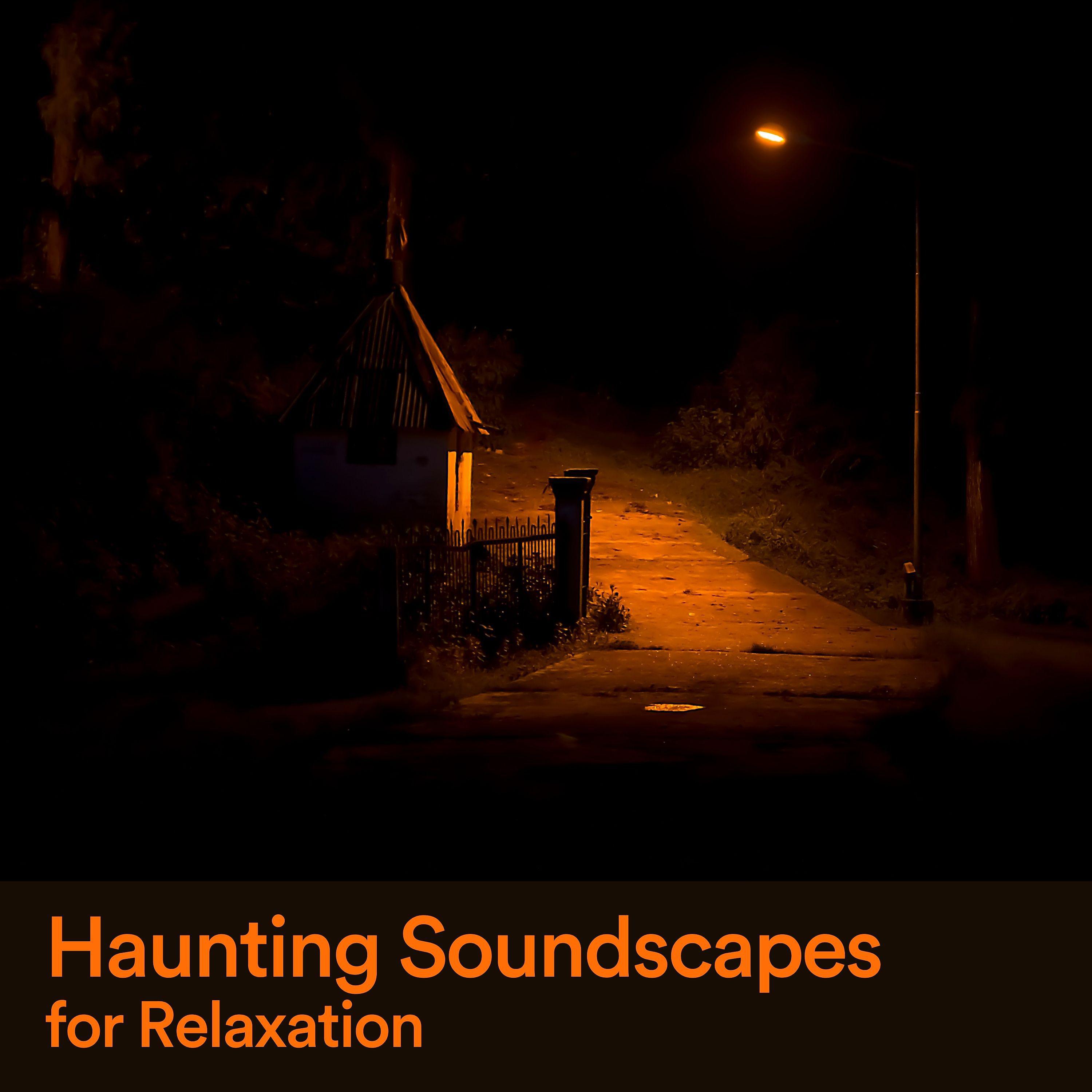 Постер альбома Haunting Soundscapes for Relaxation