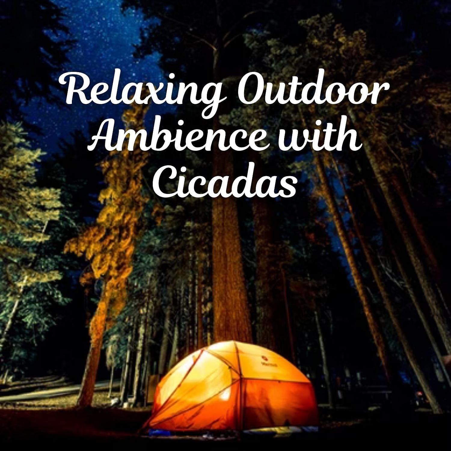 Постер альбома Relaxing Outdoor Ambience with Cicadas