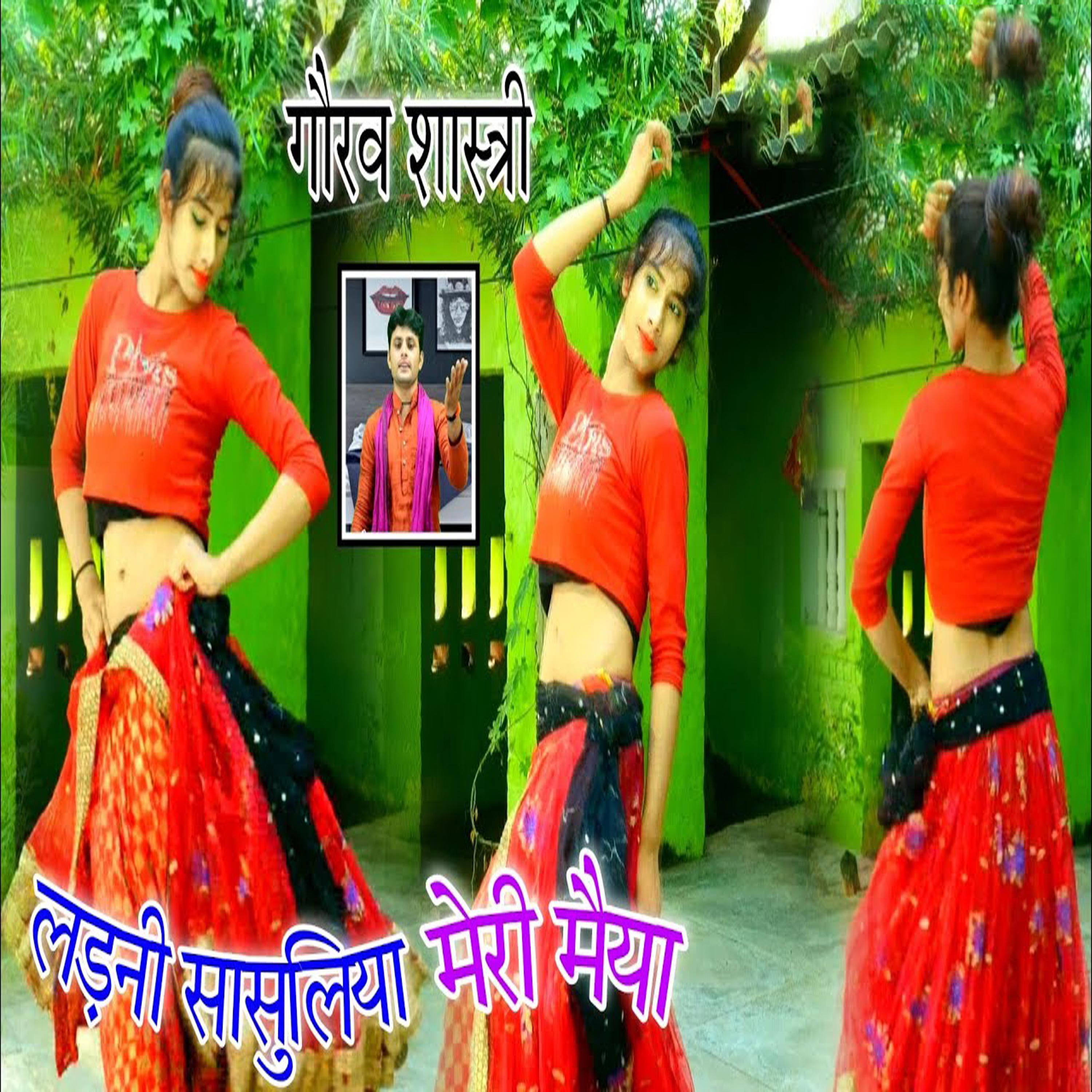 Постер альбома Ladhni Saasuliya Meri Maiya