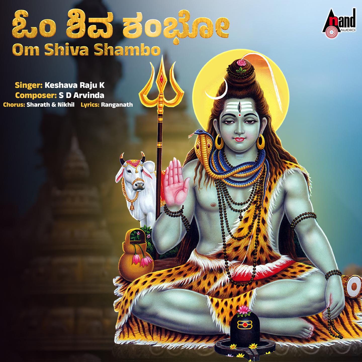 Постер альбома Om Shiva Shambo
