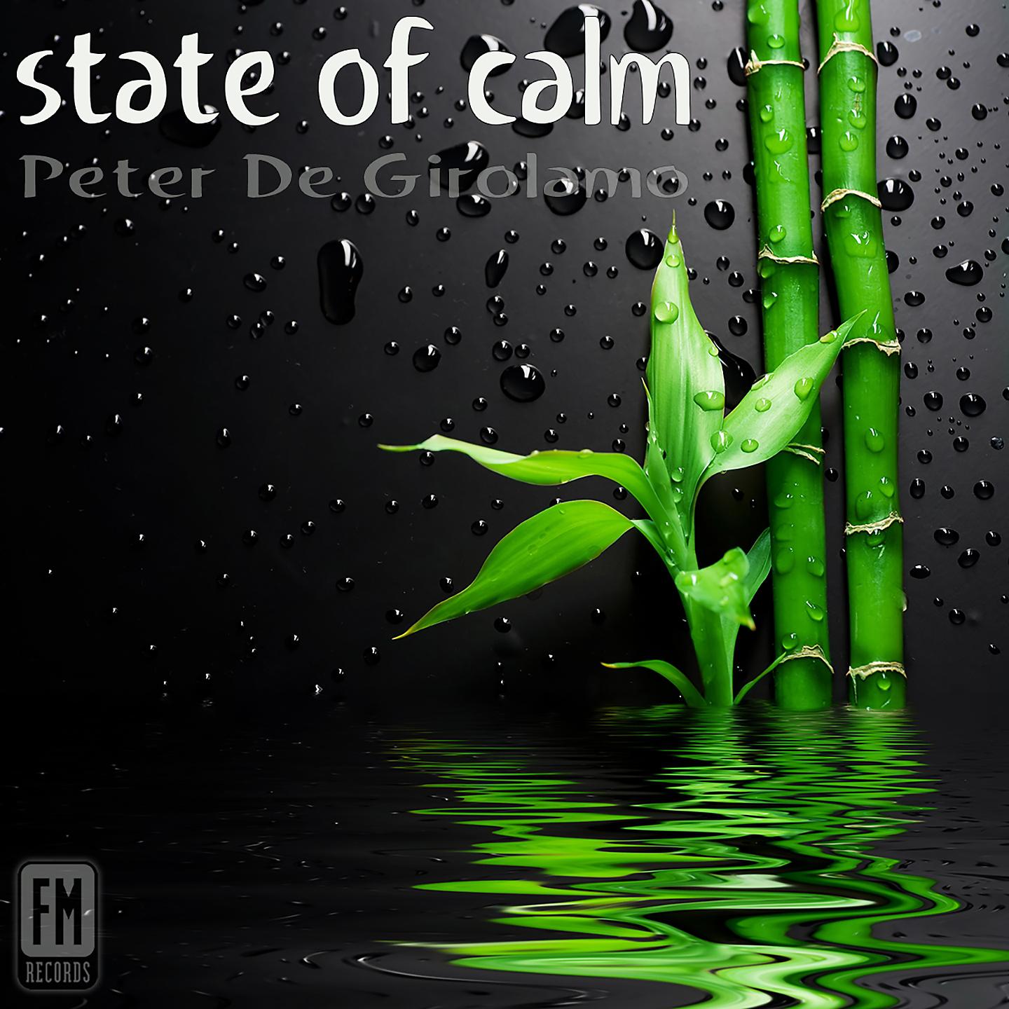Постер альбома State of Calm