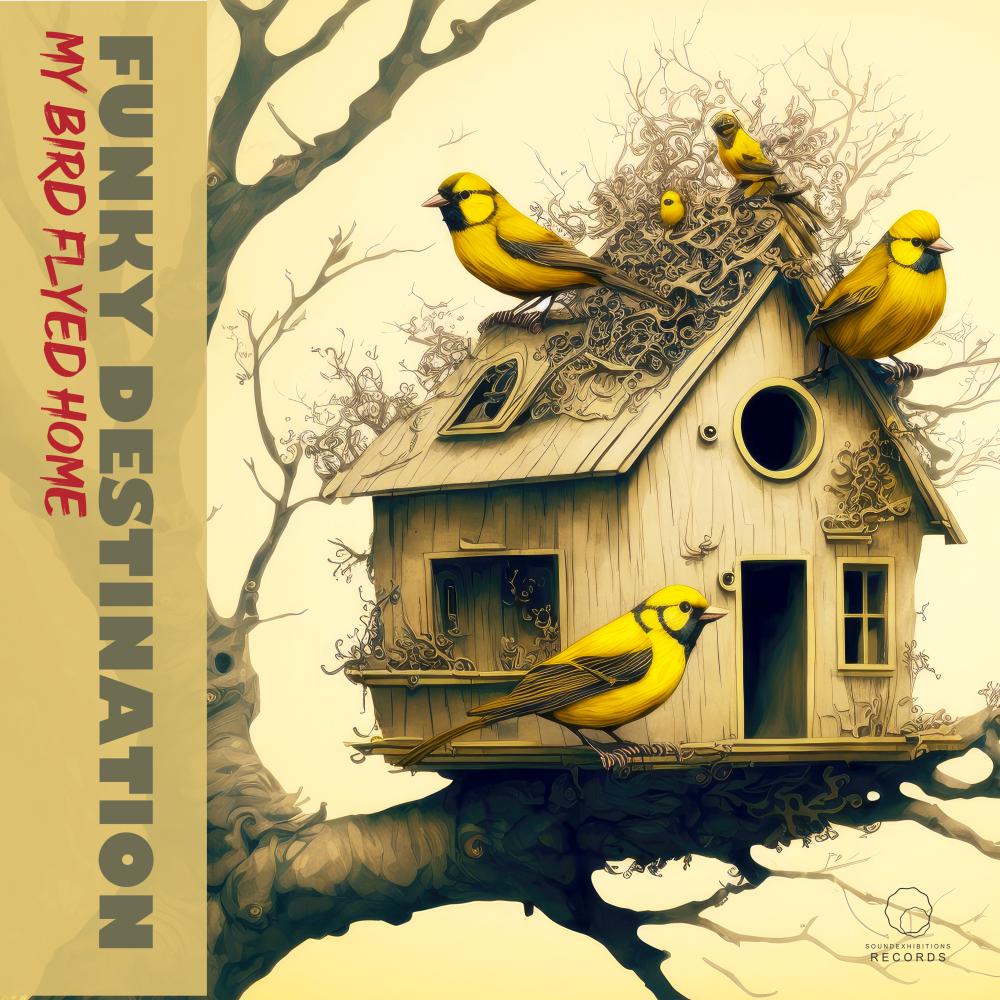 Постер альбома My Bird Flyed Home