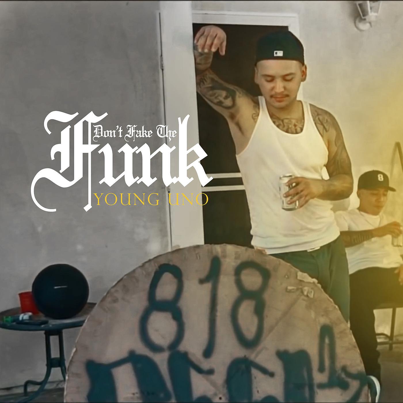 Постер альбома Don't Fake the Funk