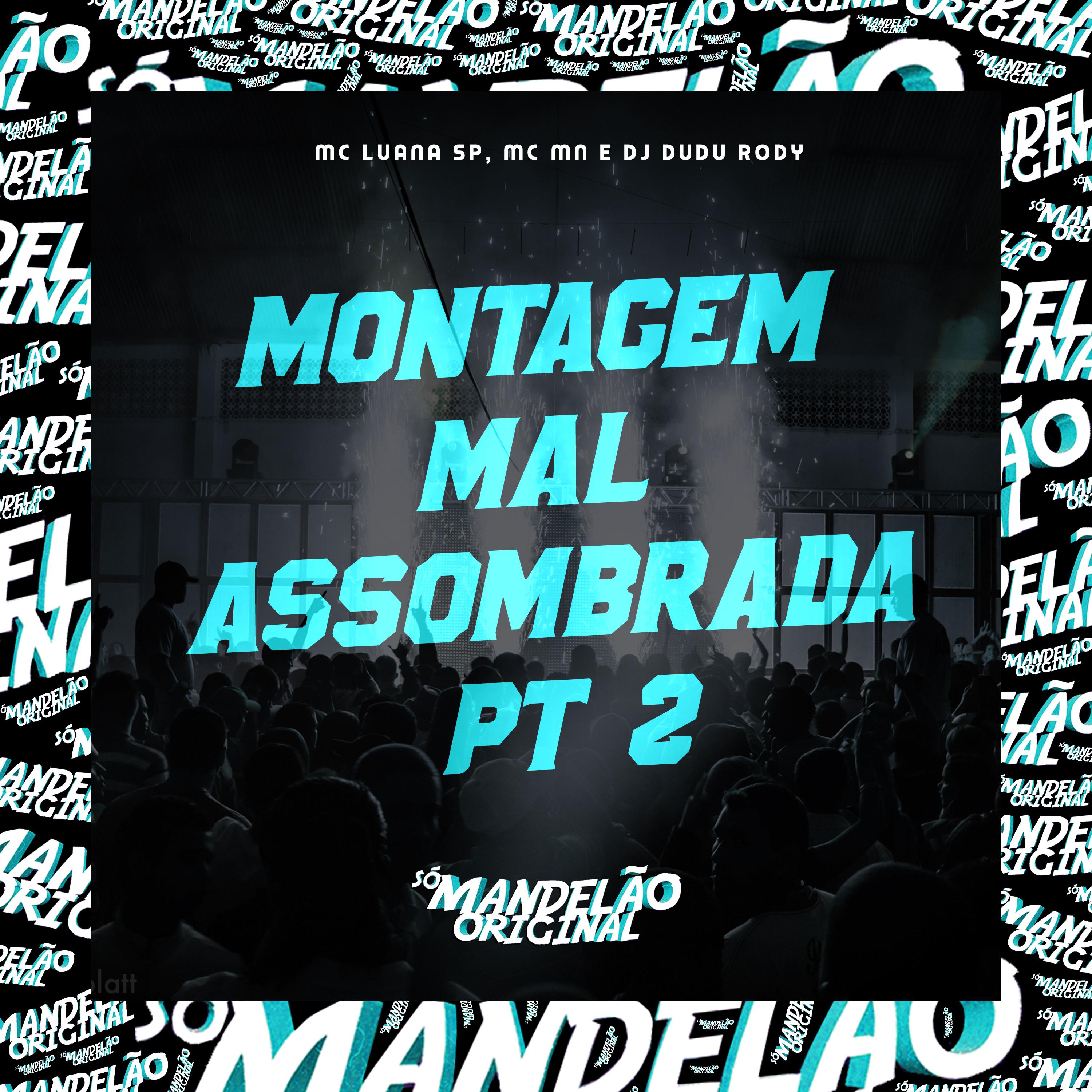 Постер альбома Montagem Mal Assombrada Pt 2