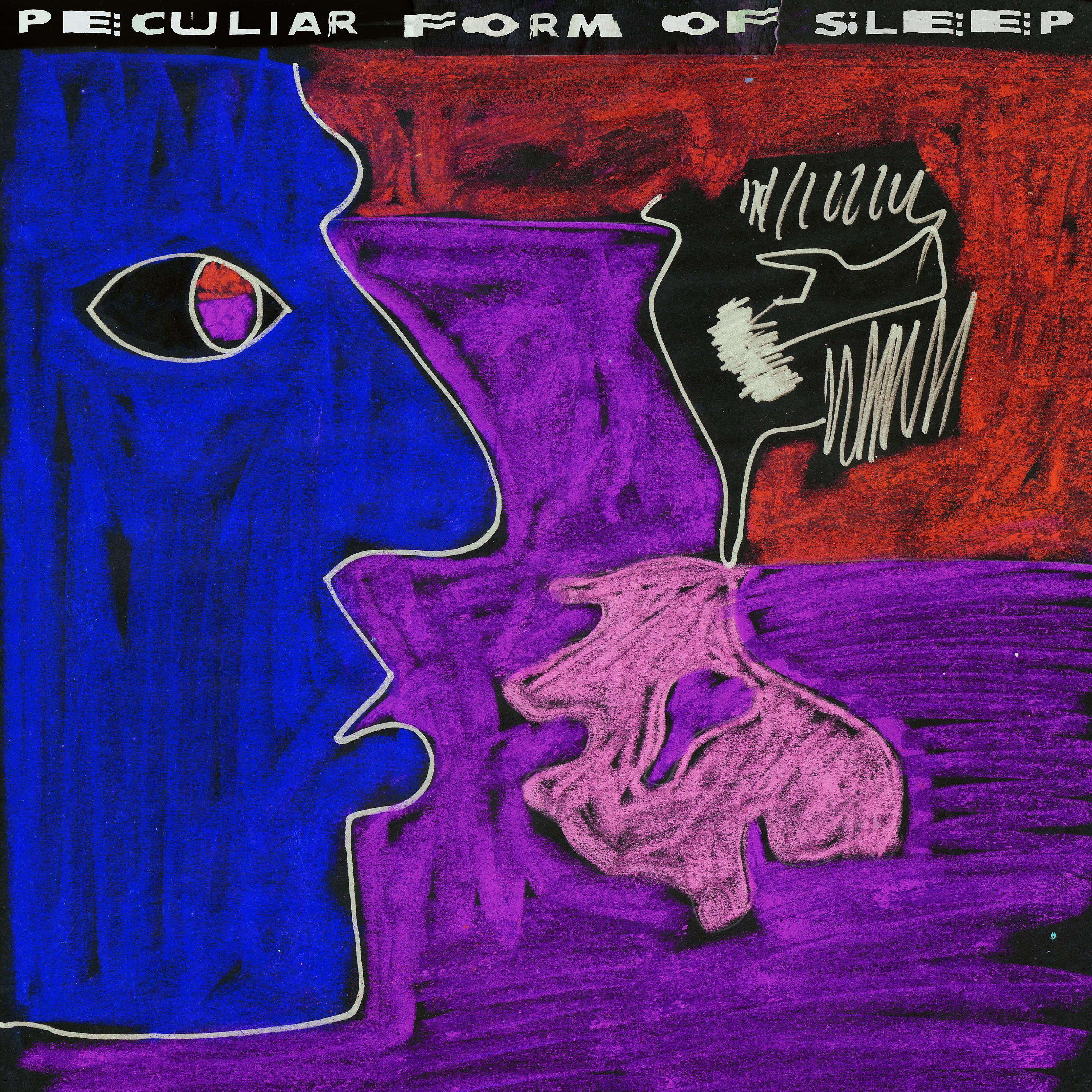 Постер альбома Peculiar Form of Sleep