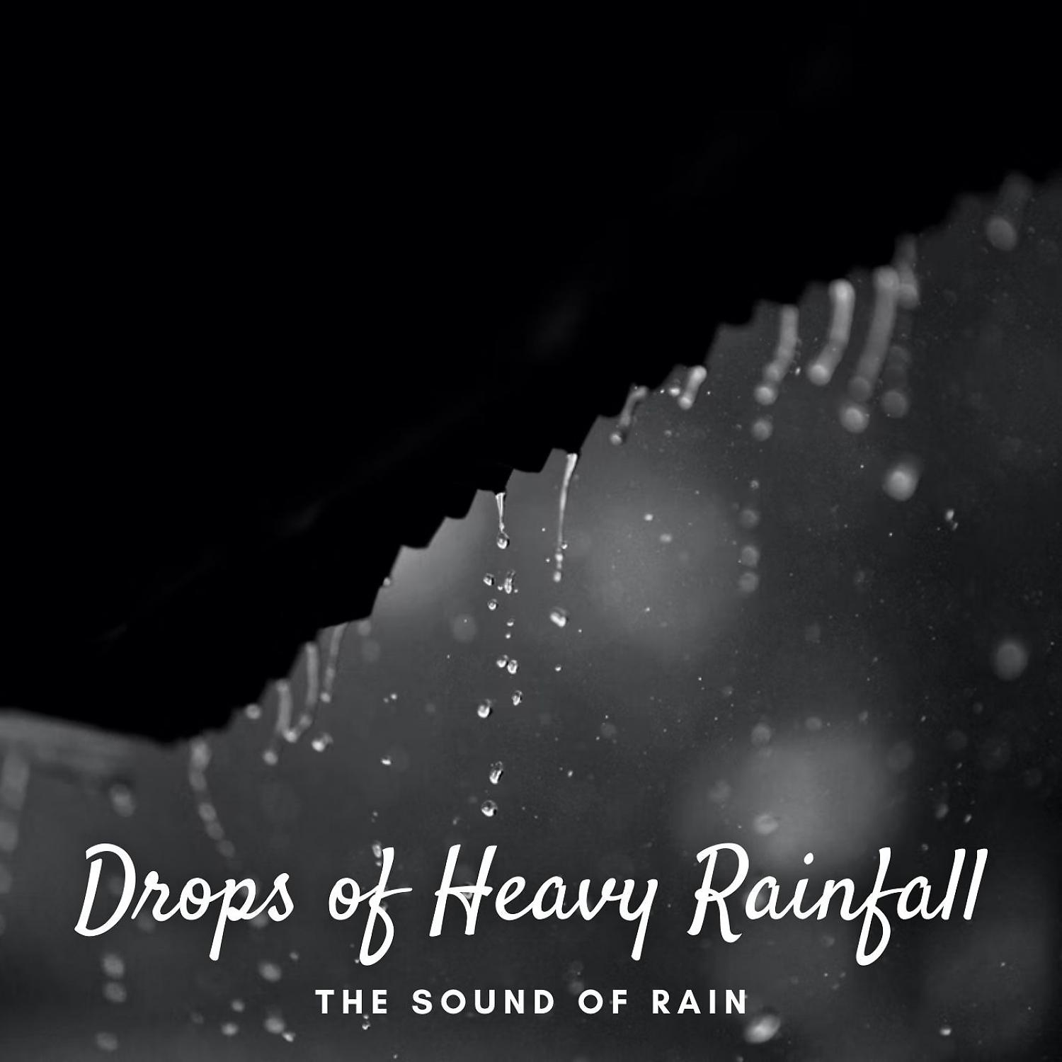 Постер альбома The Sound of Rain: Drops of Heavy Rainfall