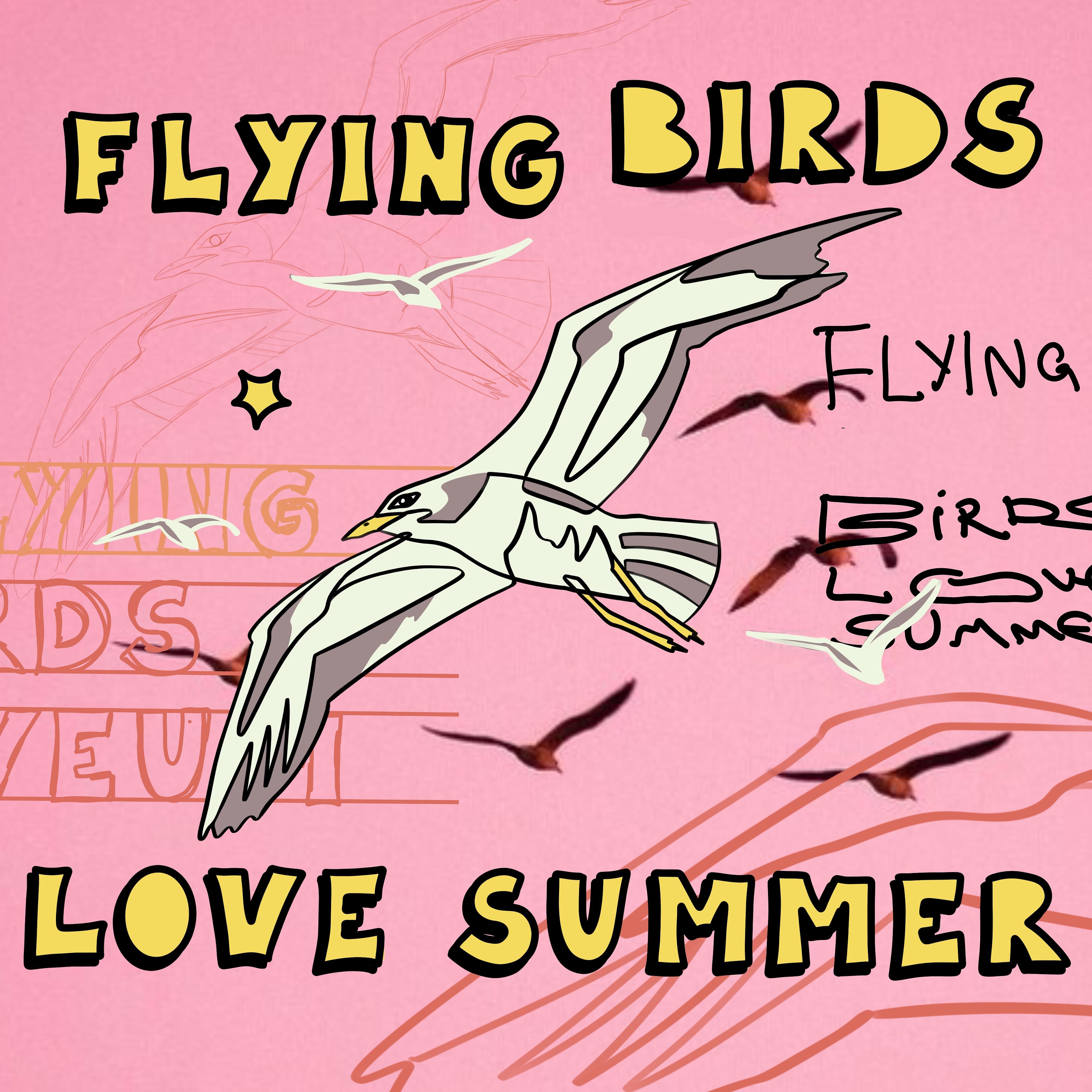 Постер альбома Flying Birds Love Summer