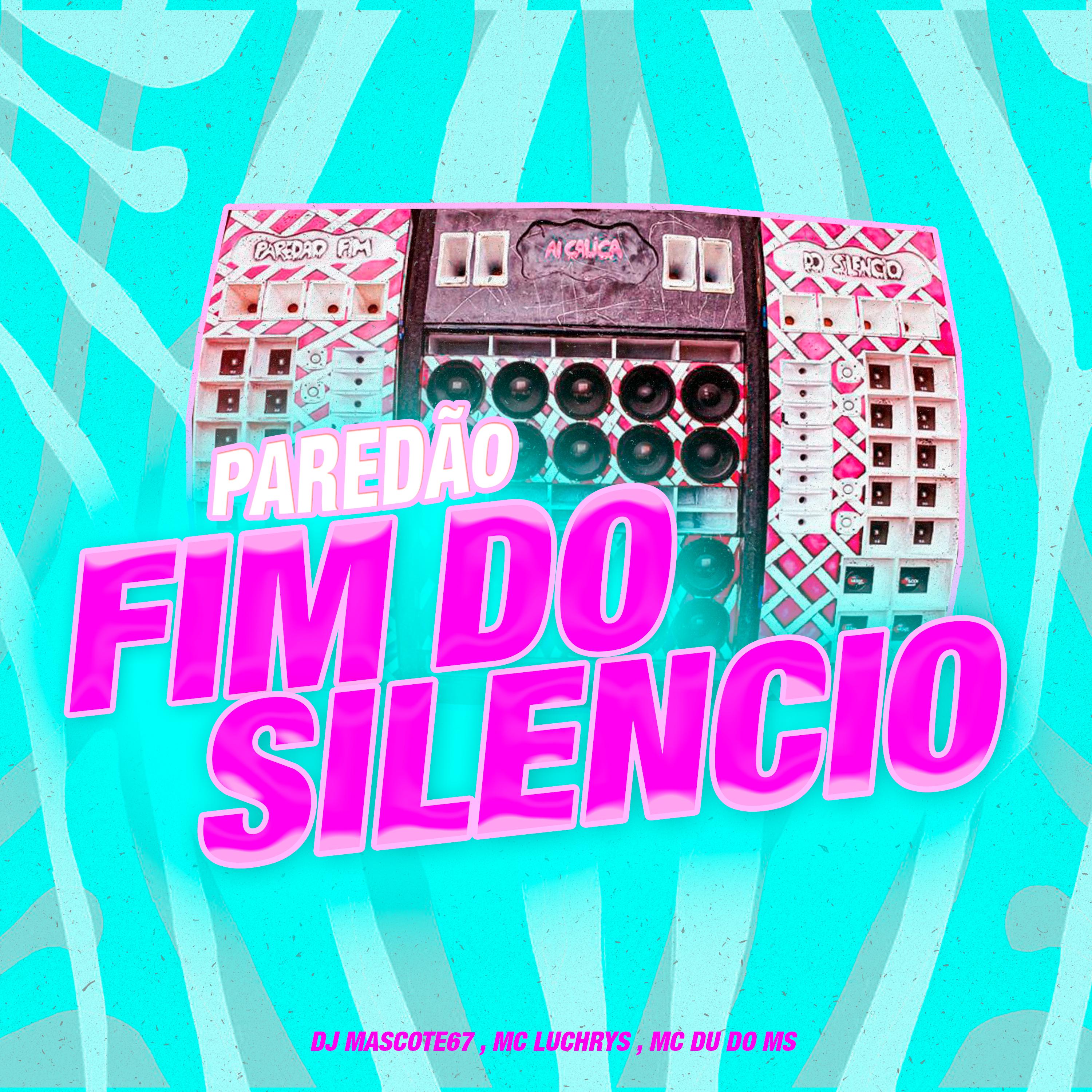 Постер альбома Paredão Fim do Silencio