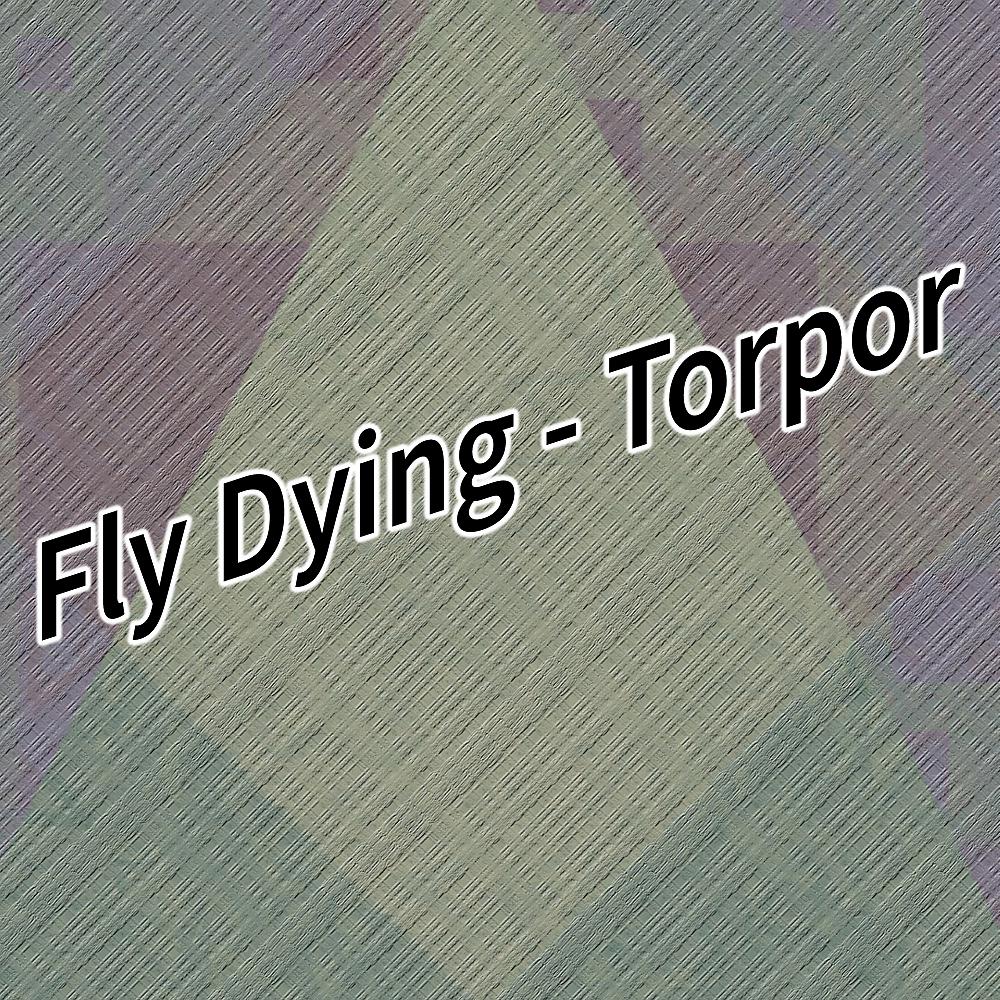 Постер альбома Torpor
