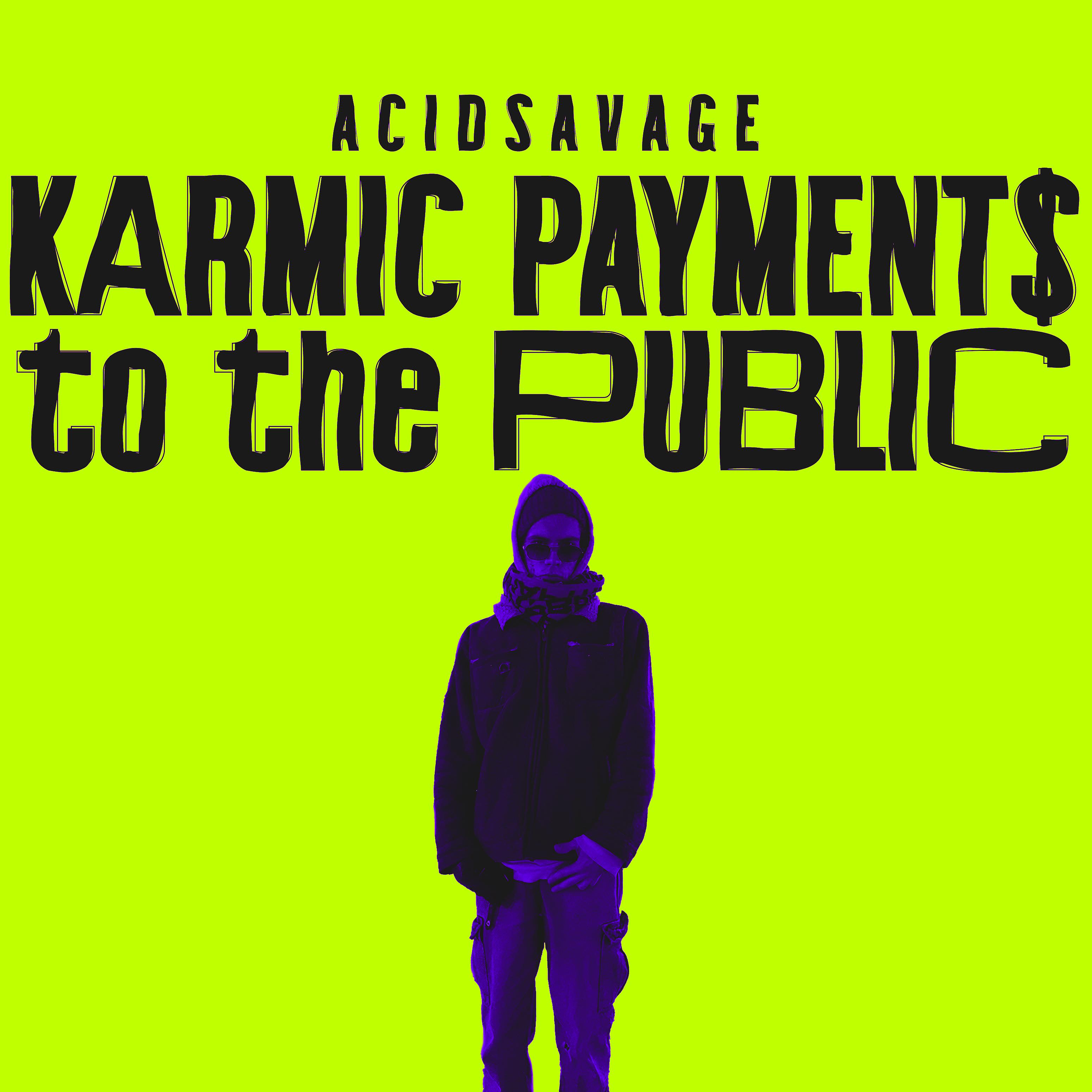 Постер альбома Karmic payment$ to the Public