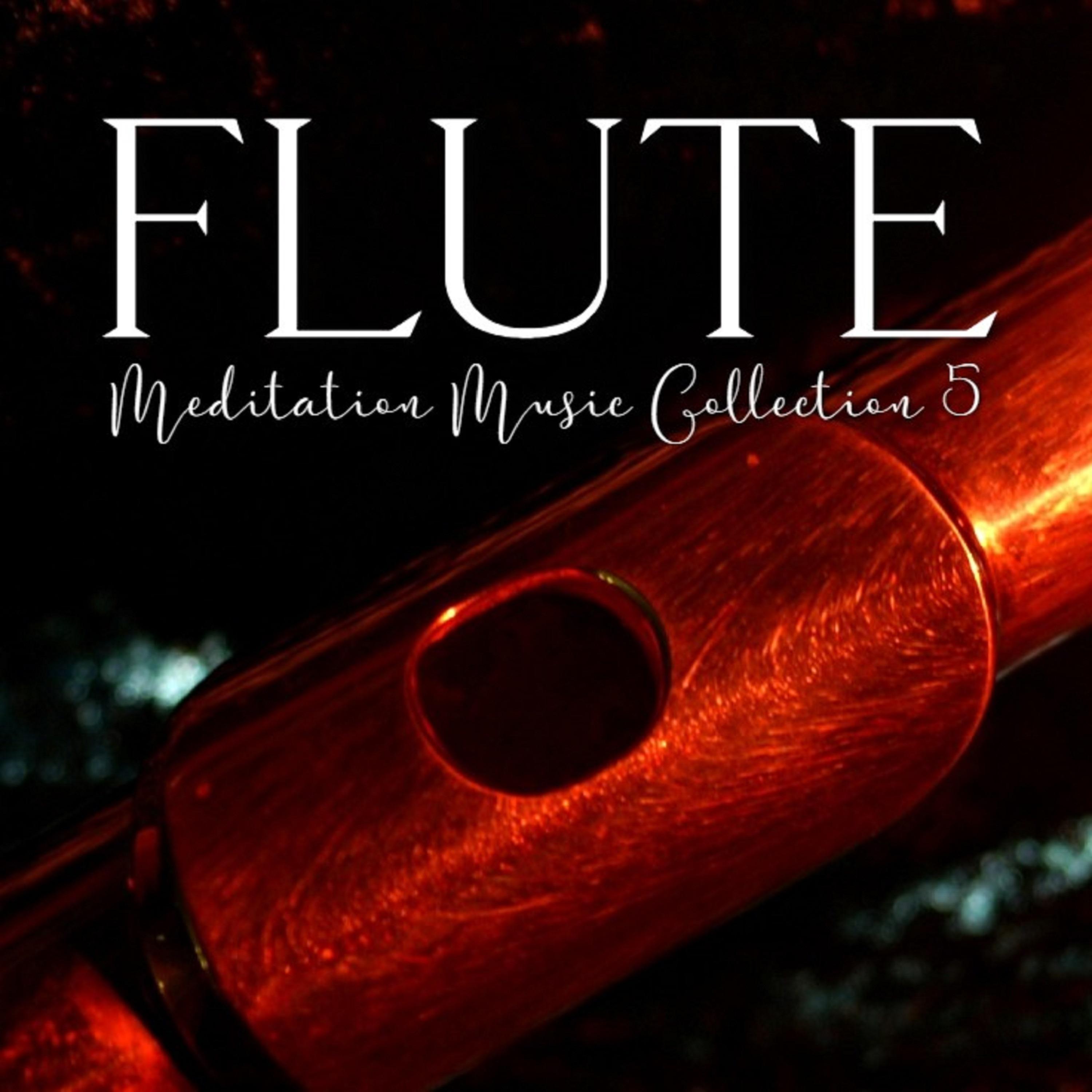 Постер альбома Flute Meditation Music Collection 5