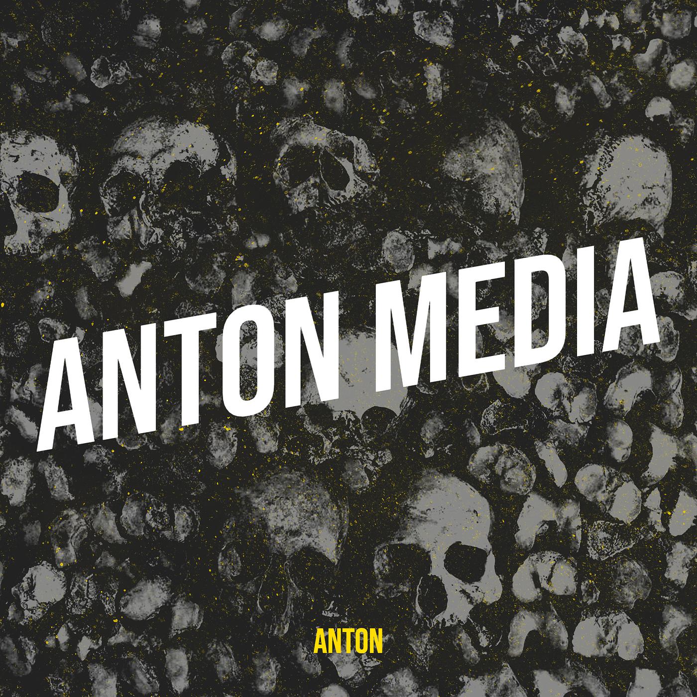 Постер альбома Anton Media