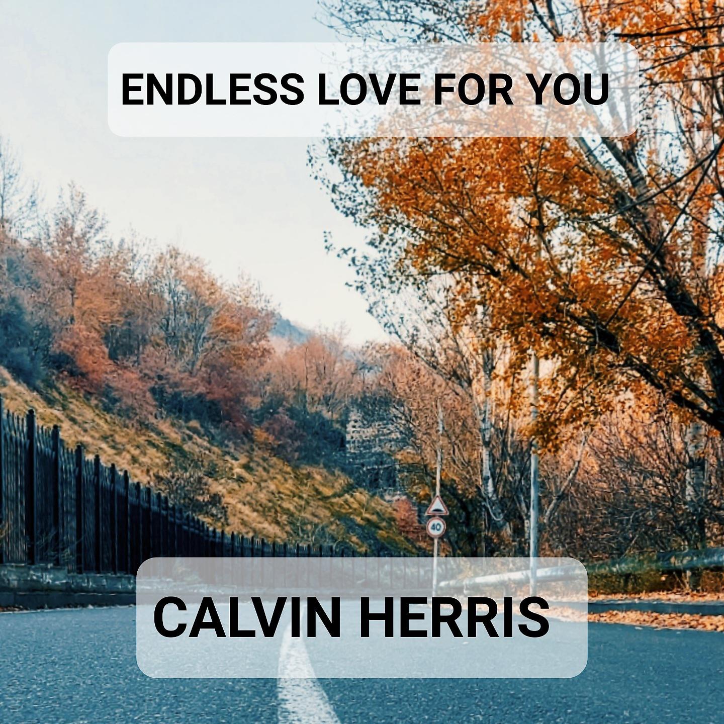 Постер альбома Endless Love for you