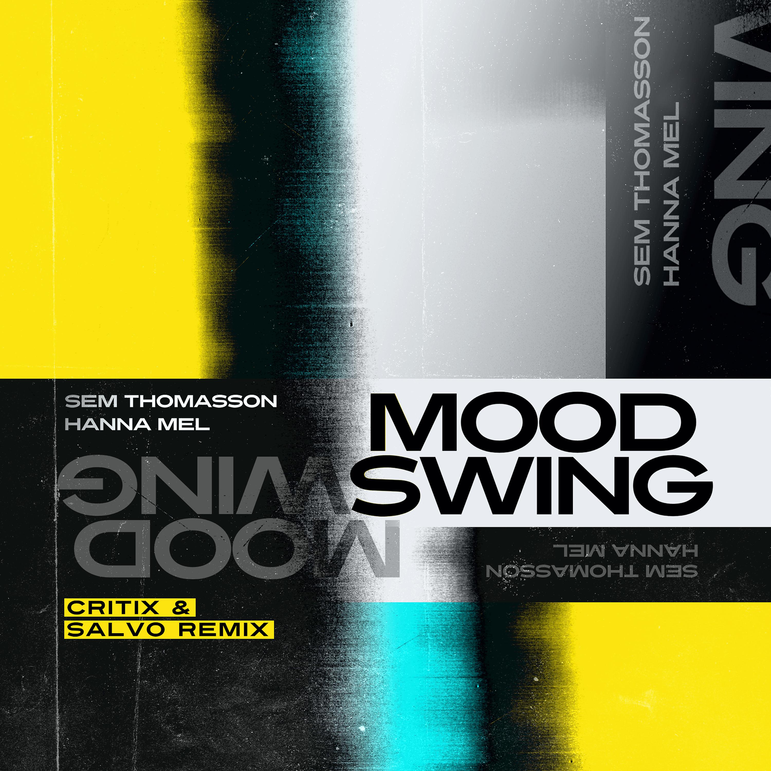 Постер альбома Mood Swing (Critix & Salvo Remix)