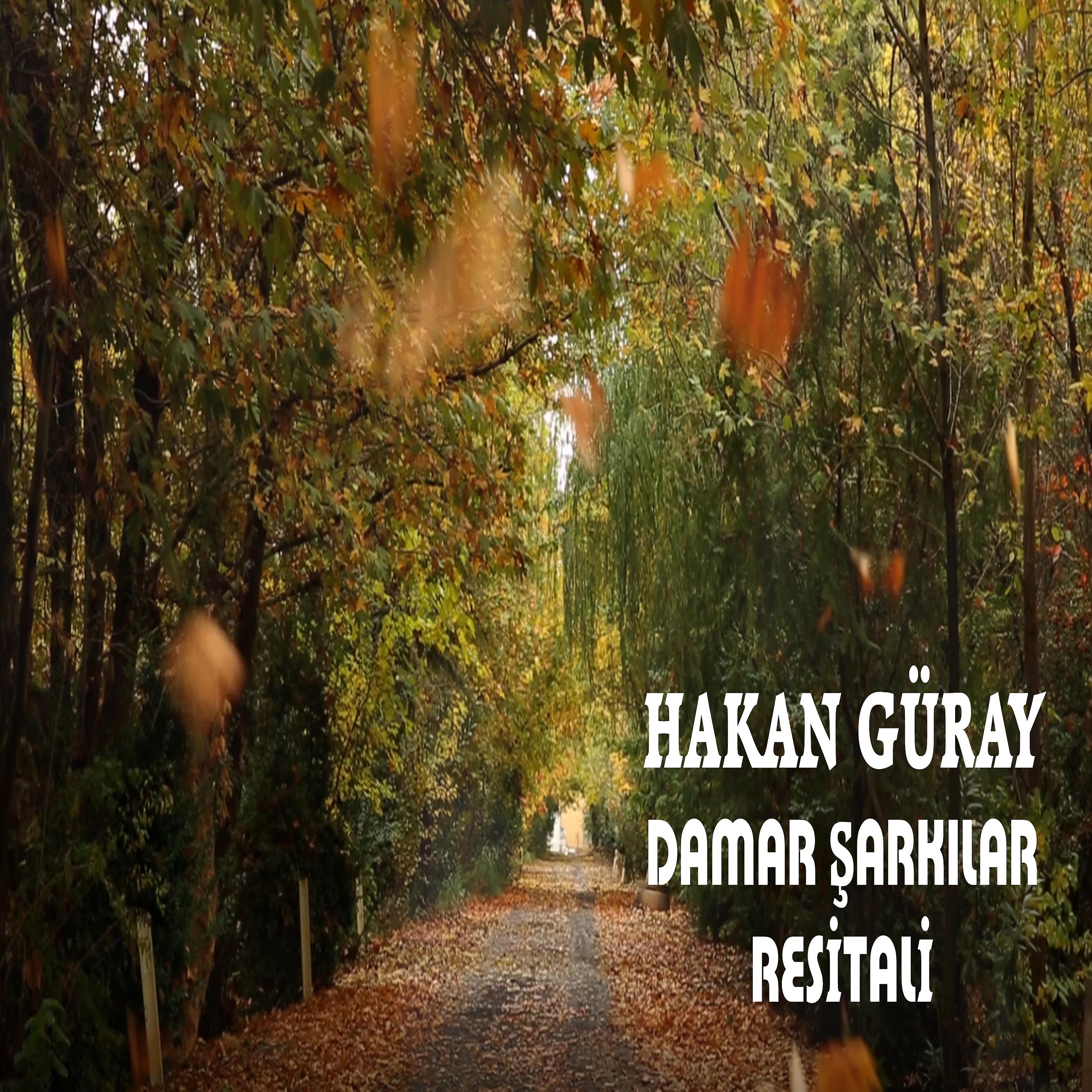 Постер альбома Damar Şarkılar Resitali