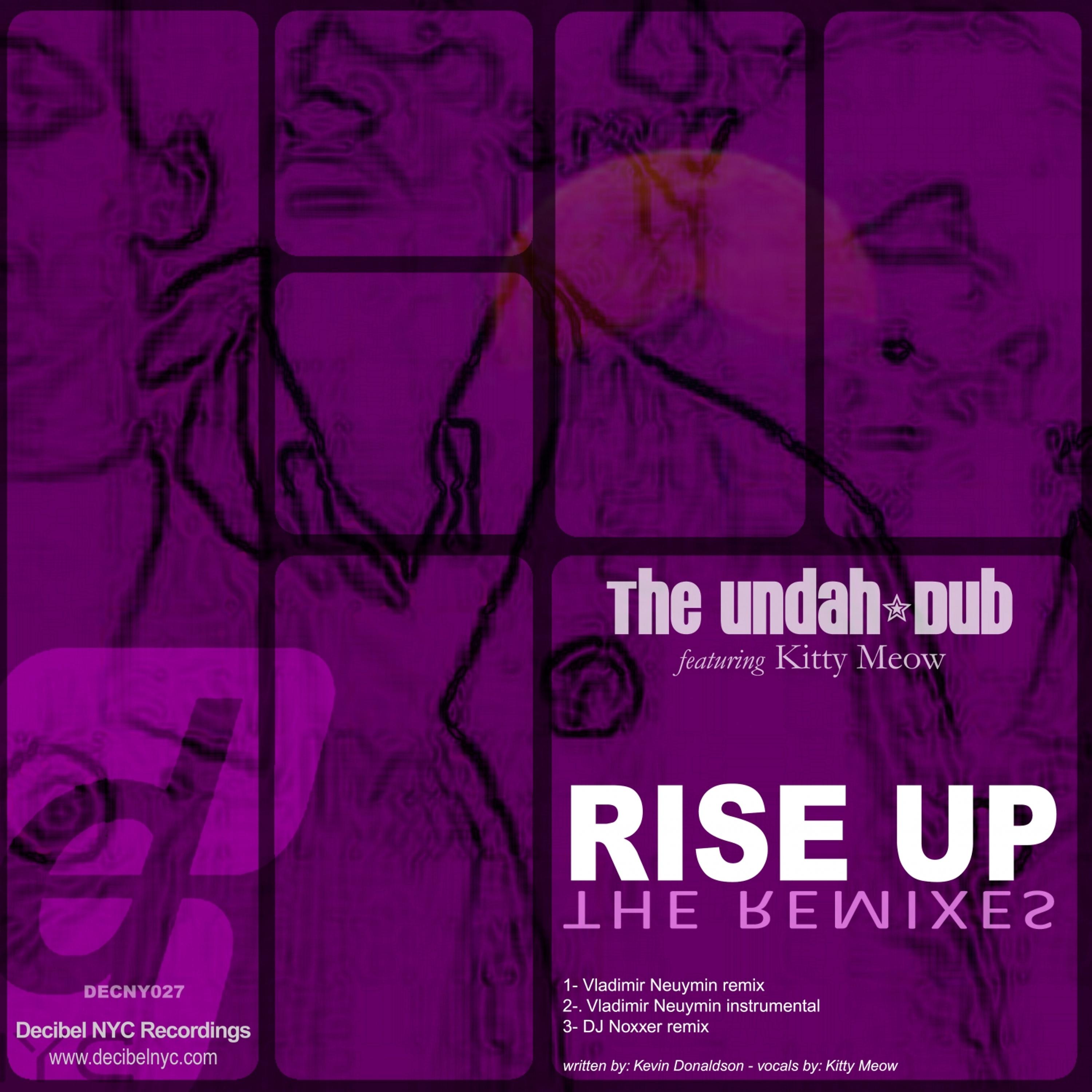 Постер альбома Rise Up (Remixes)