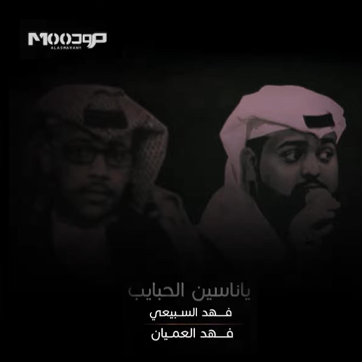 Постер альбома ياناسين الحبايب