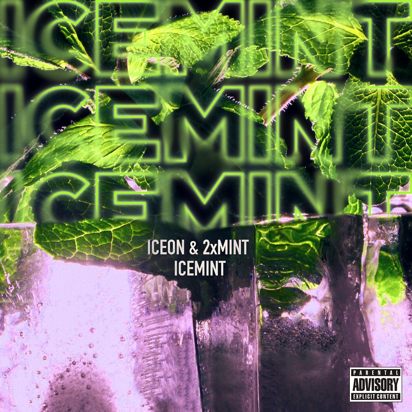 Постер альбома ICEMINT