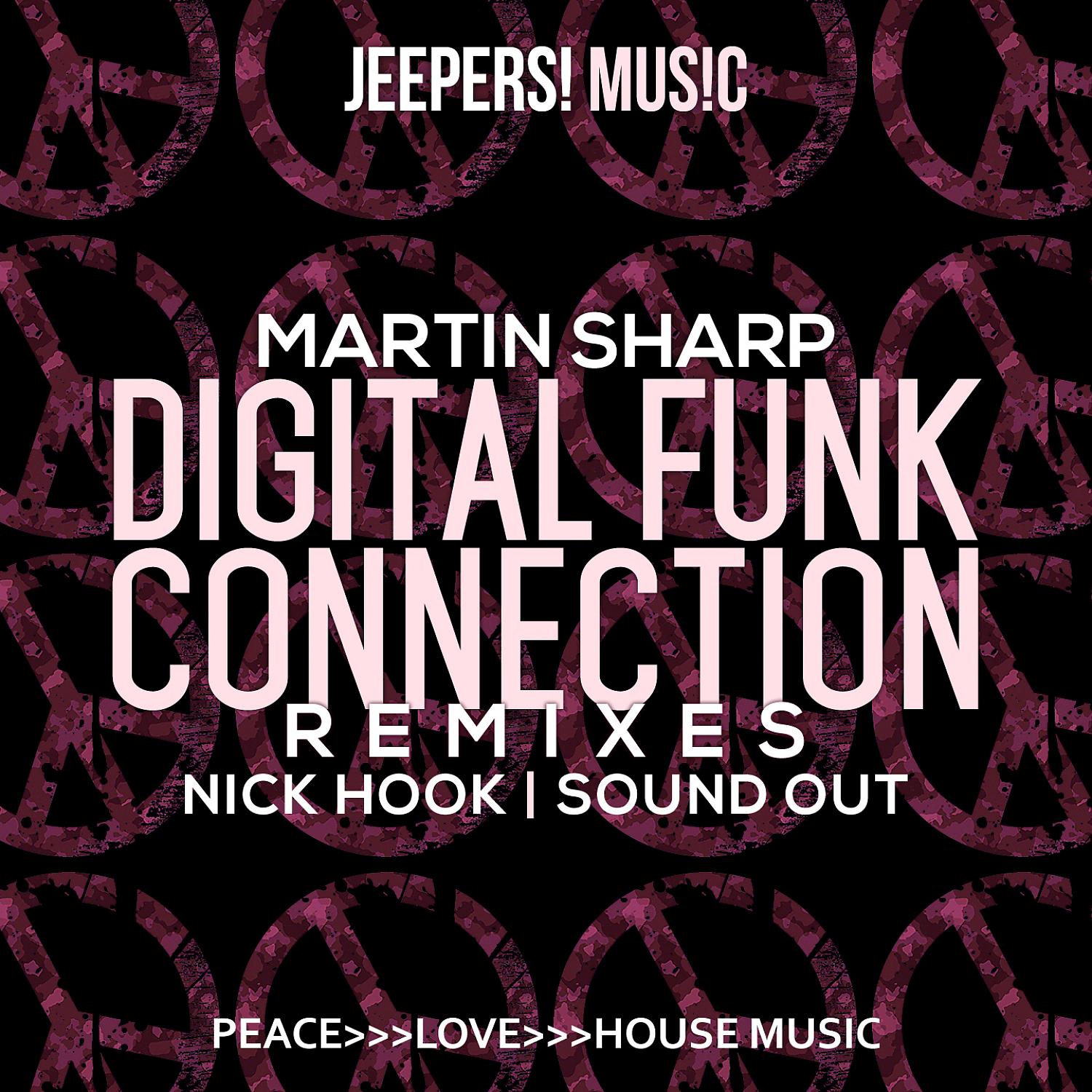 Постер альбома Digital Funk Connection (Remixes)