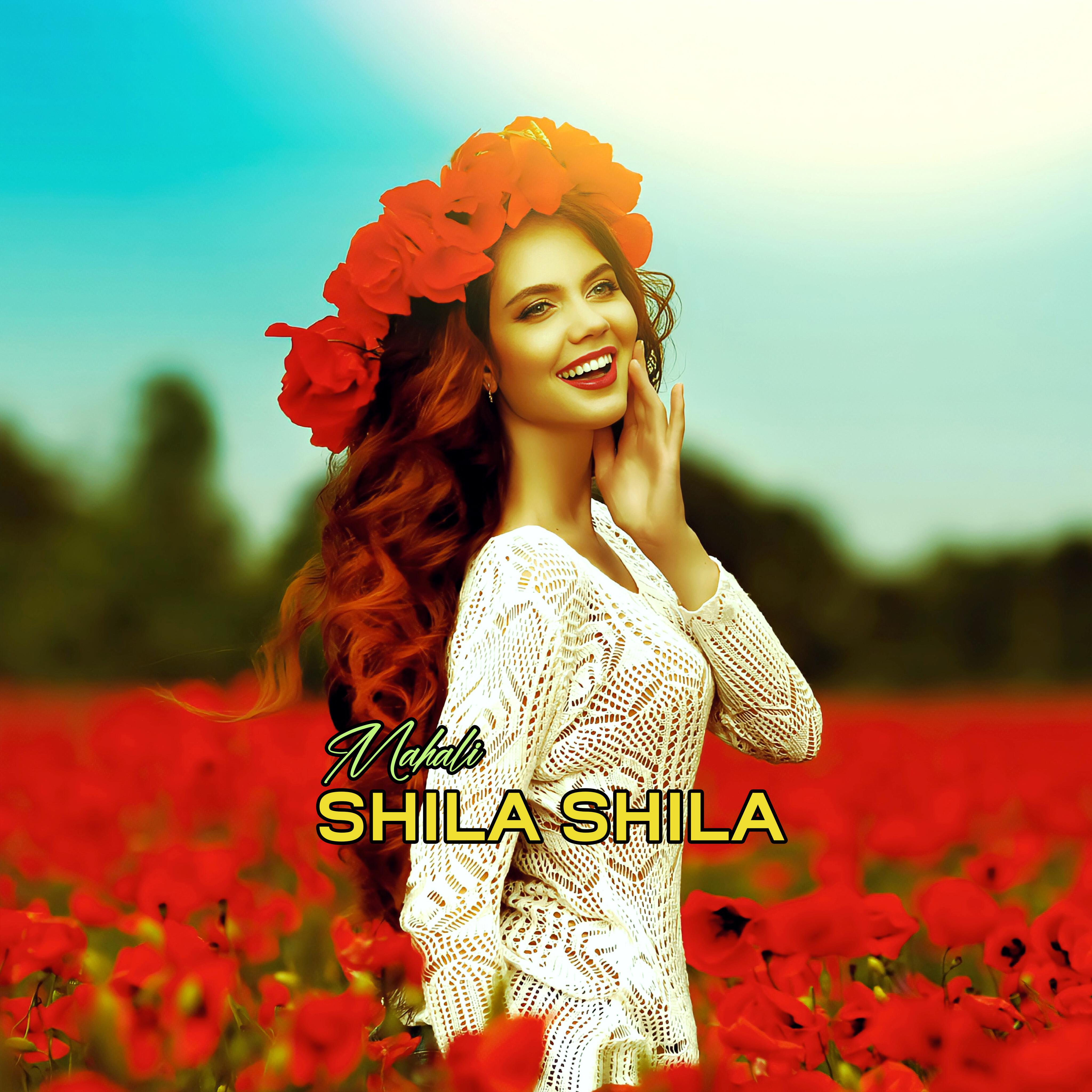Постер альбома Shila Shila