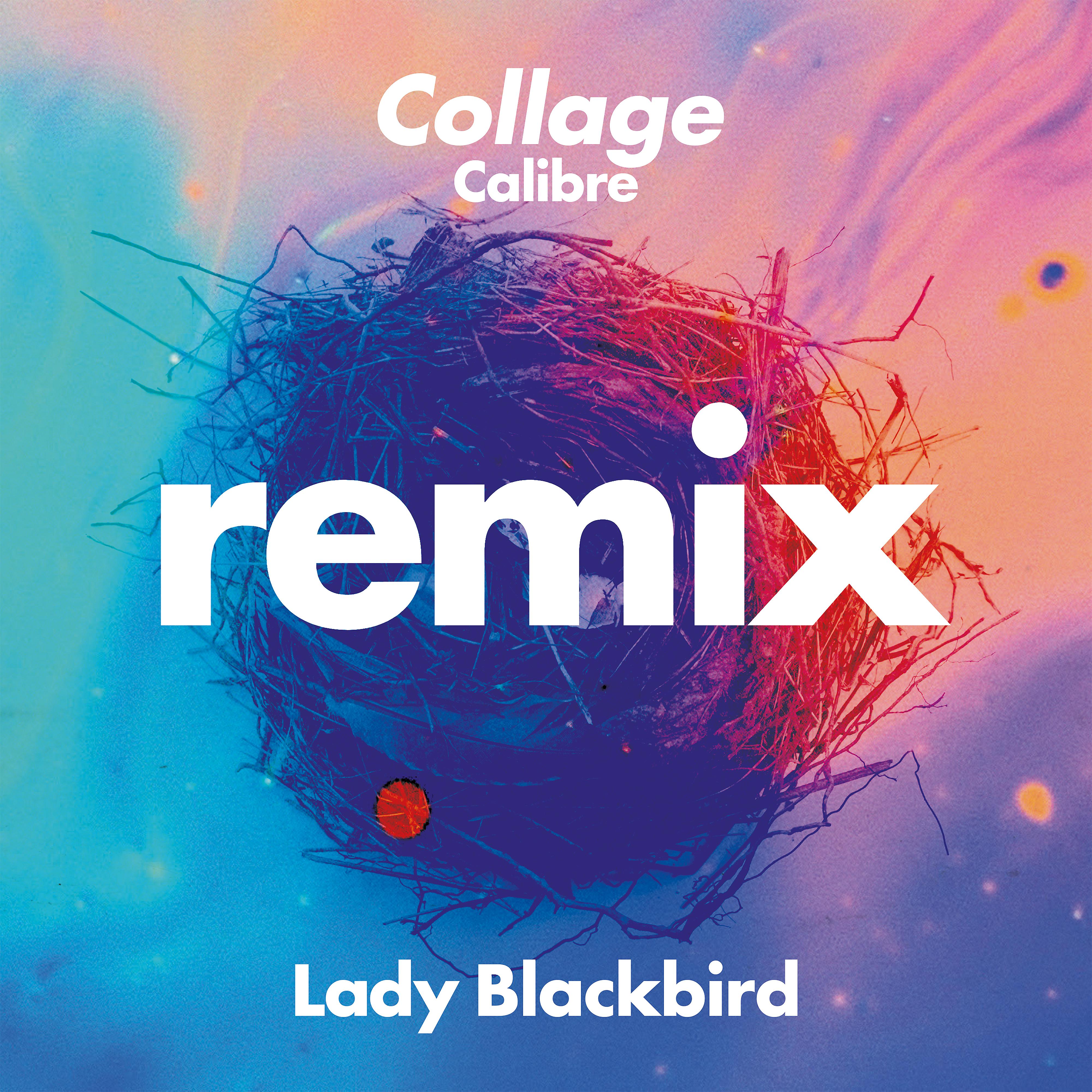 Постер альбома Collage (Calibre Remix)