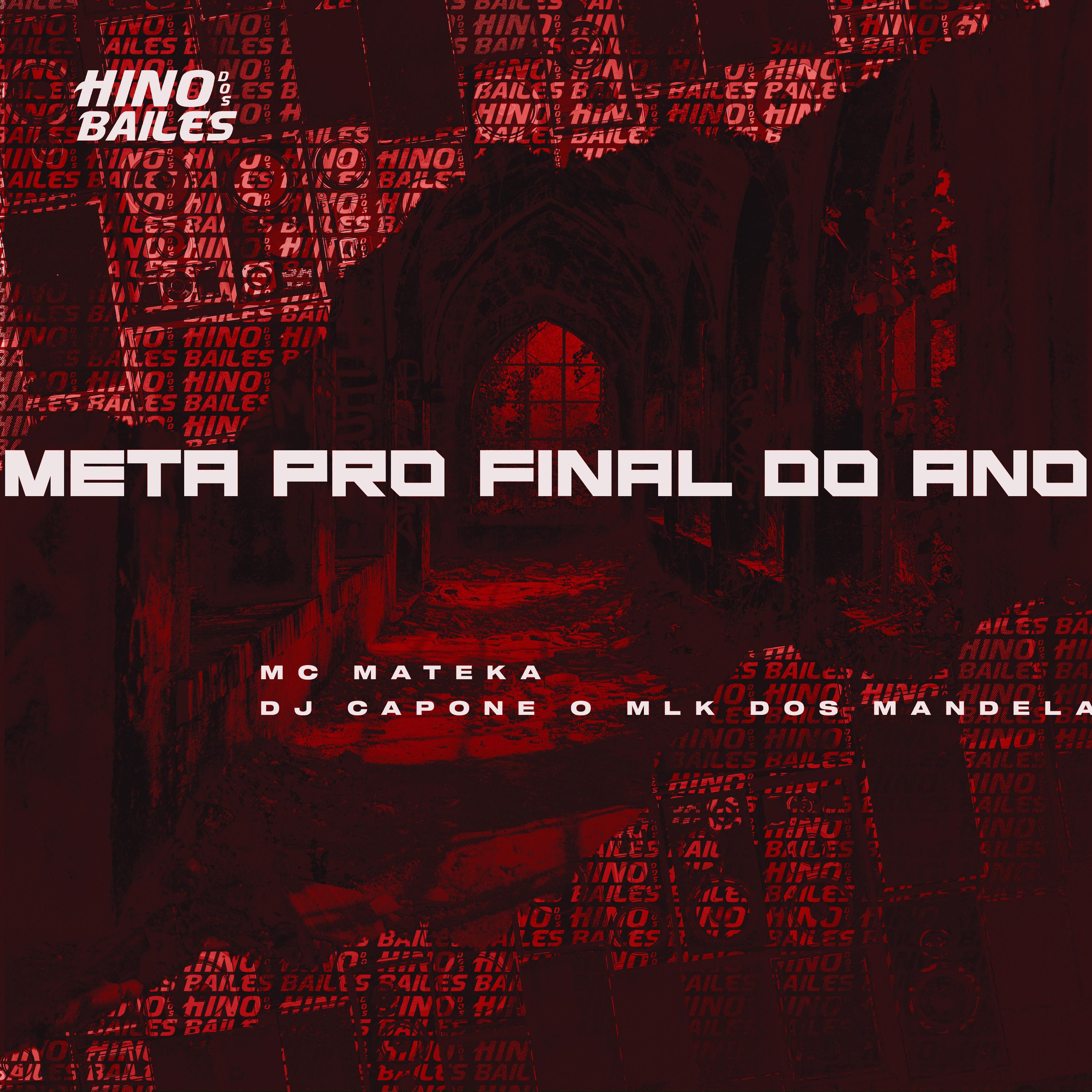 Постер альбома Meta pro Final do Ano