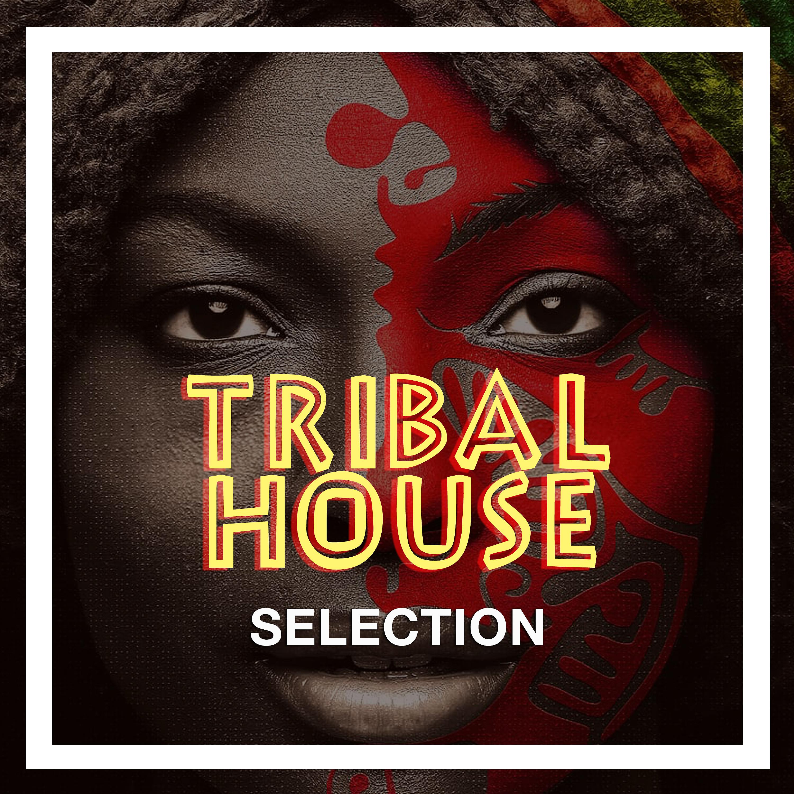 Постер альбома Tribal House Selection
