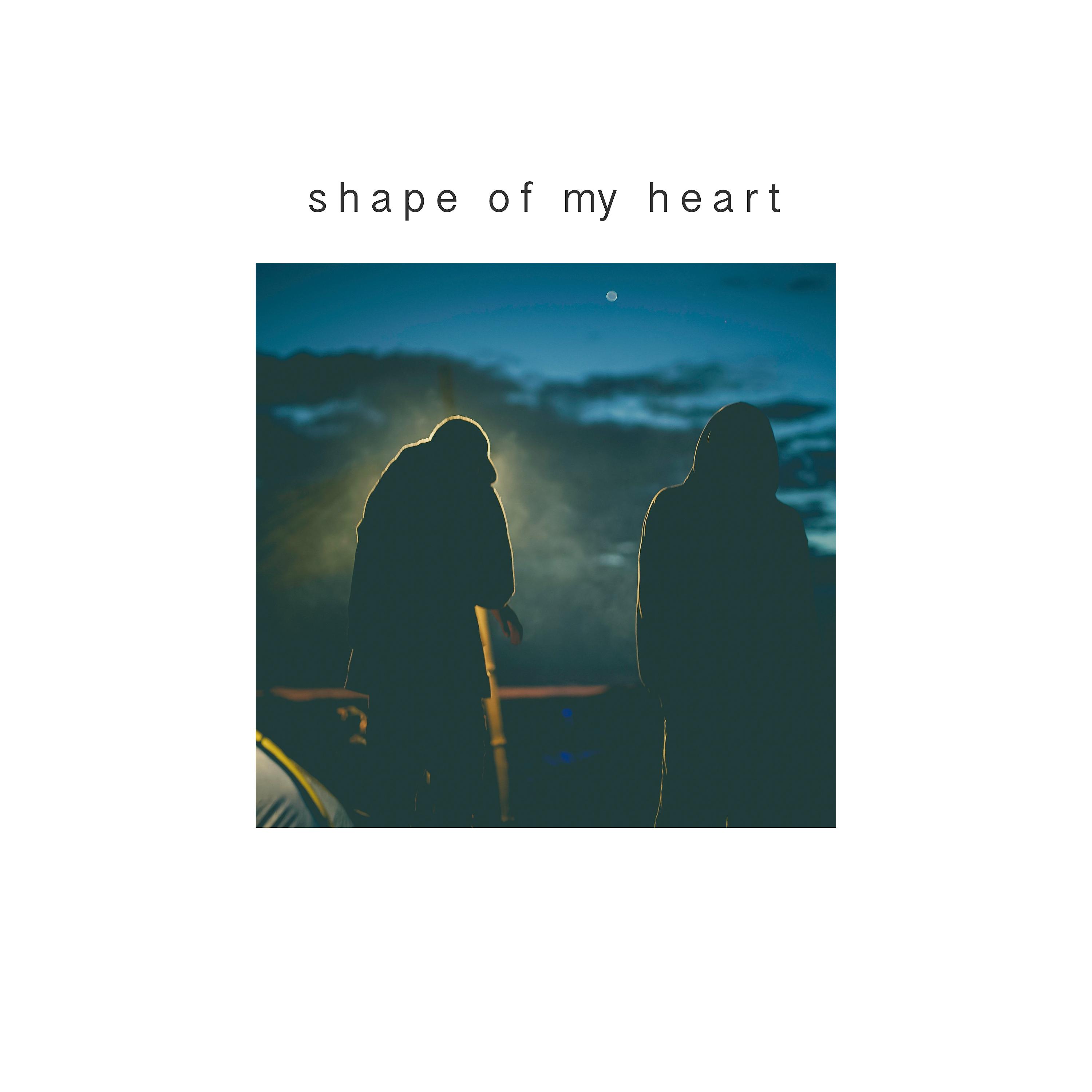 Постер альбома Shape of My Heart