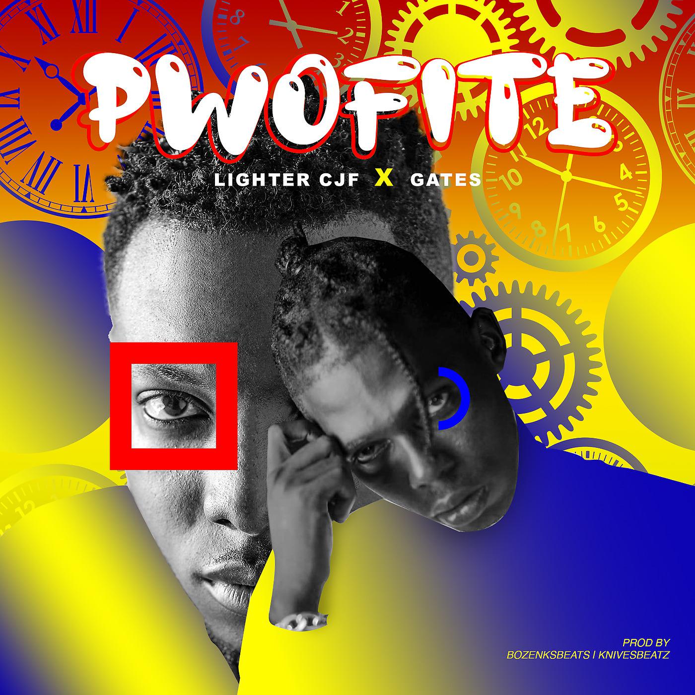 Постер альбома Pwofite
