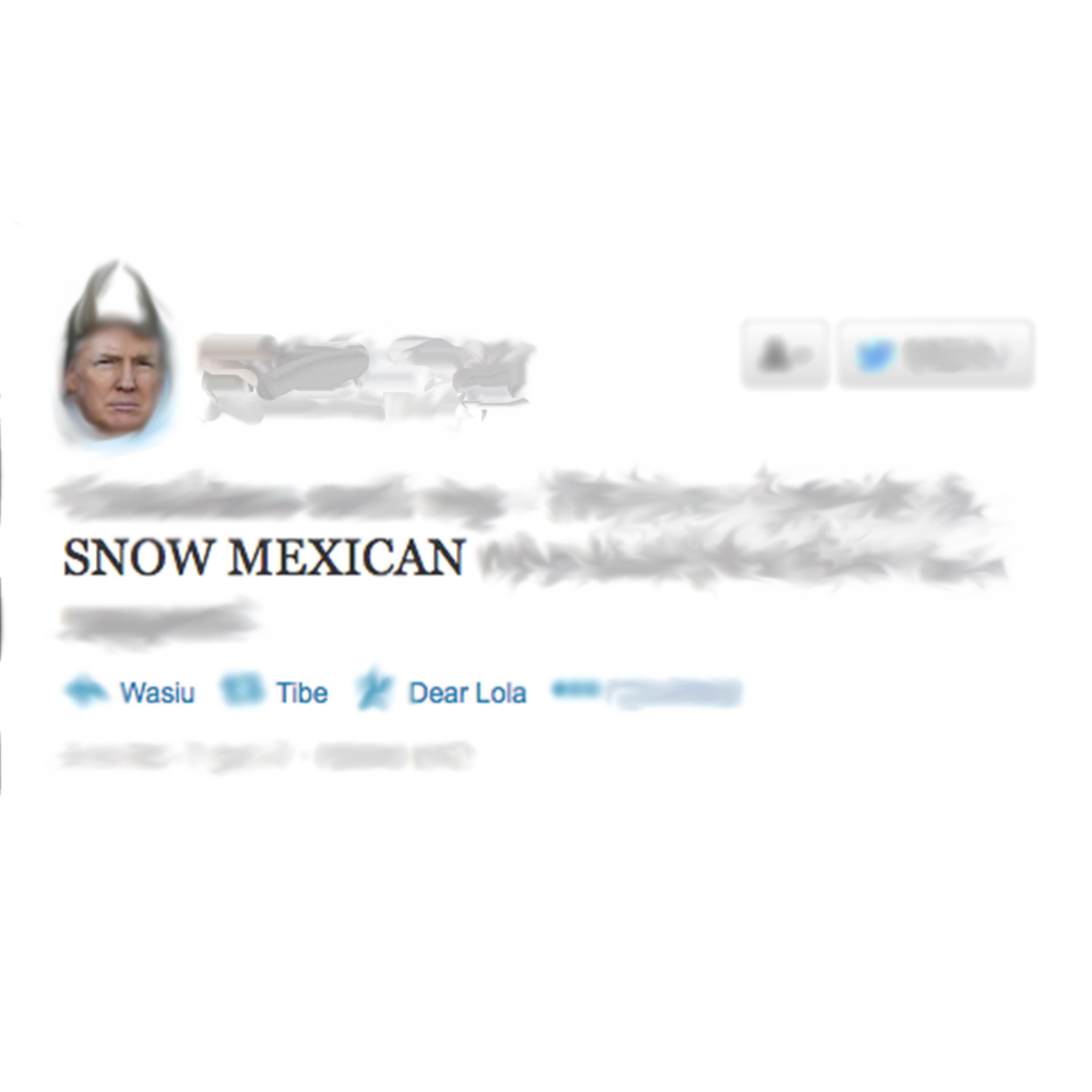 Постер альбома Snow Mexican