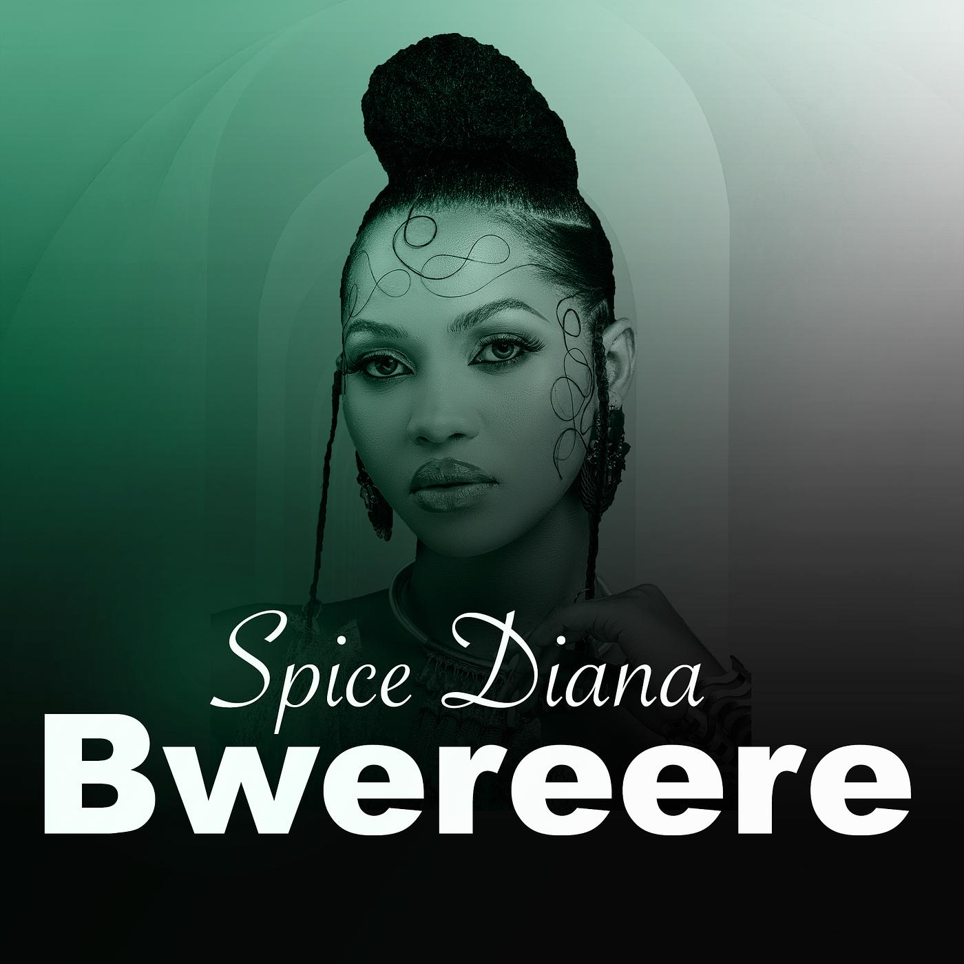 Постер альбома Bwereere