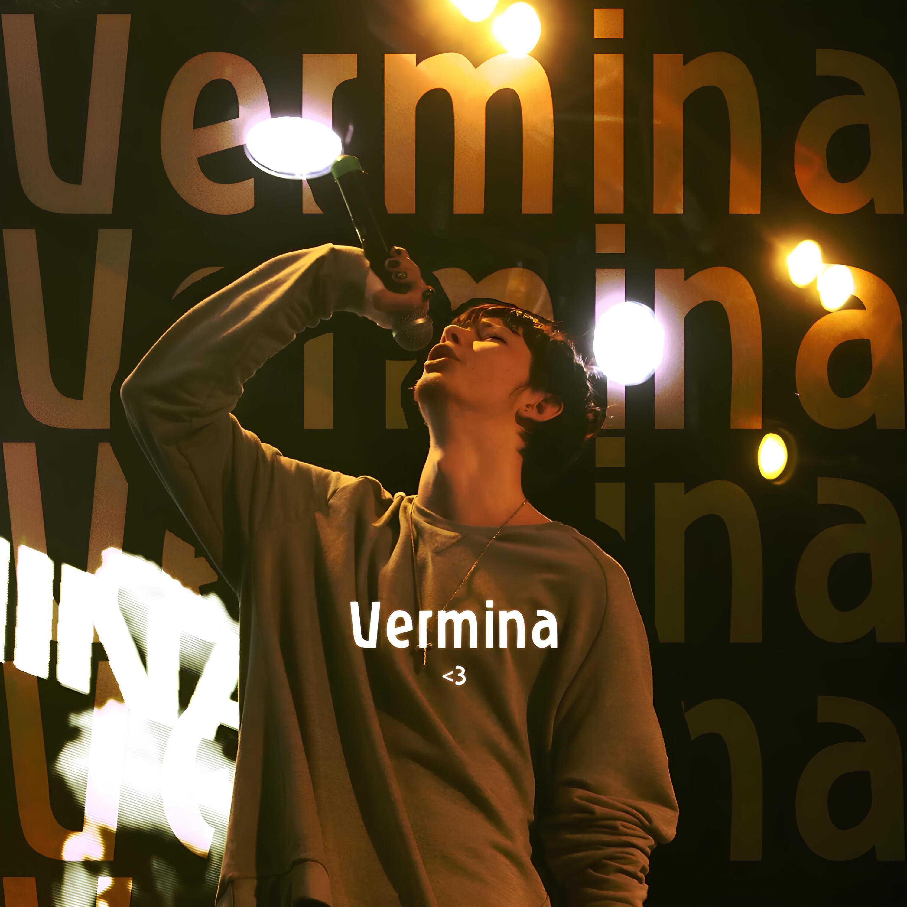 Постер альбома Vermina