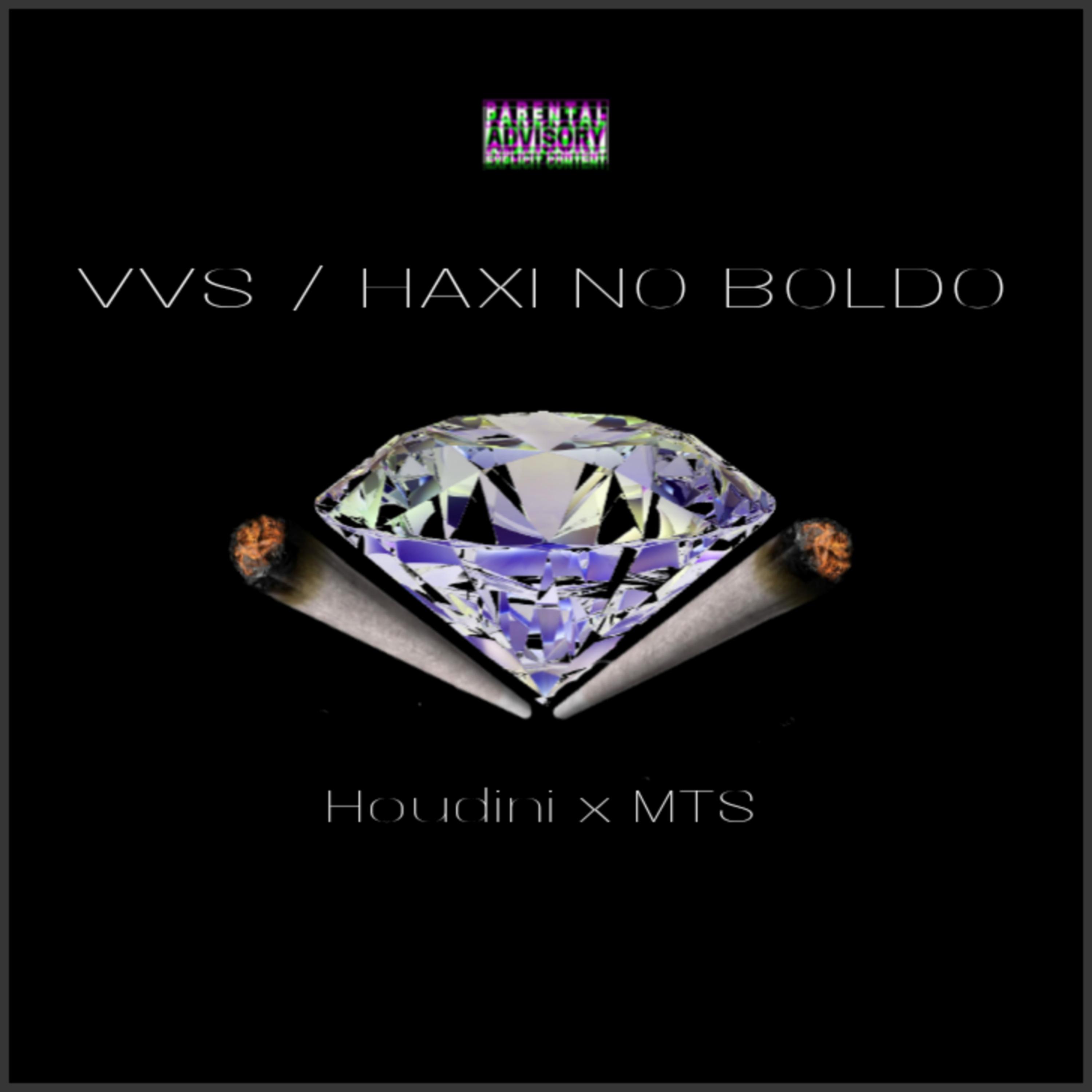 Постер альбома Vvs / Haxi no Boldo