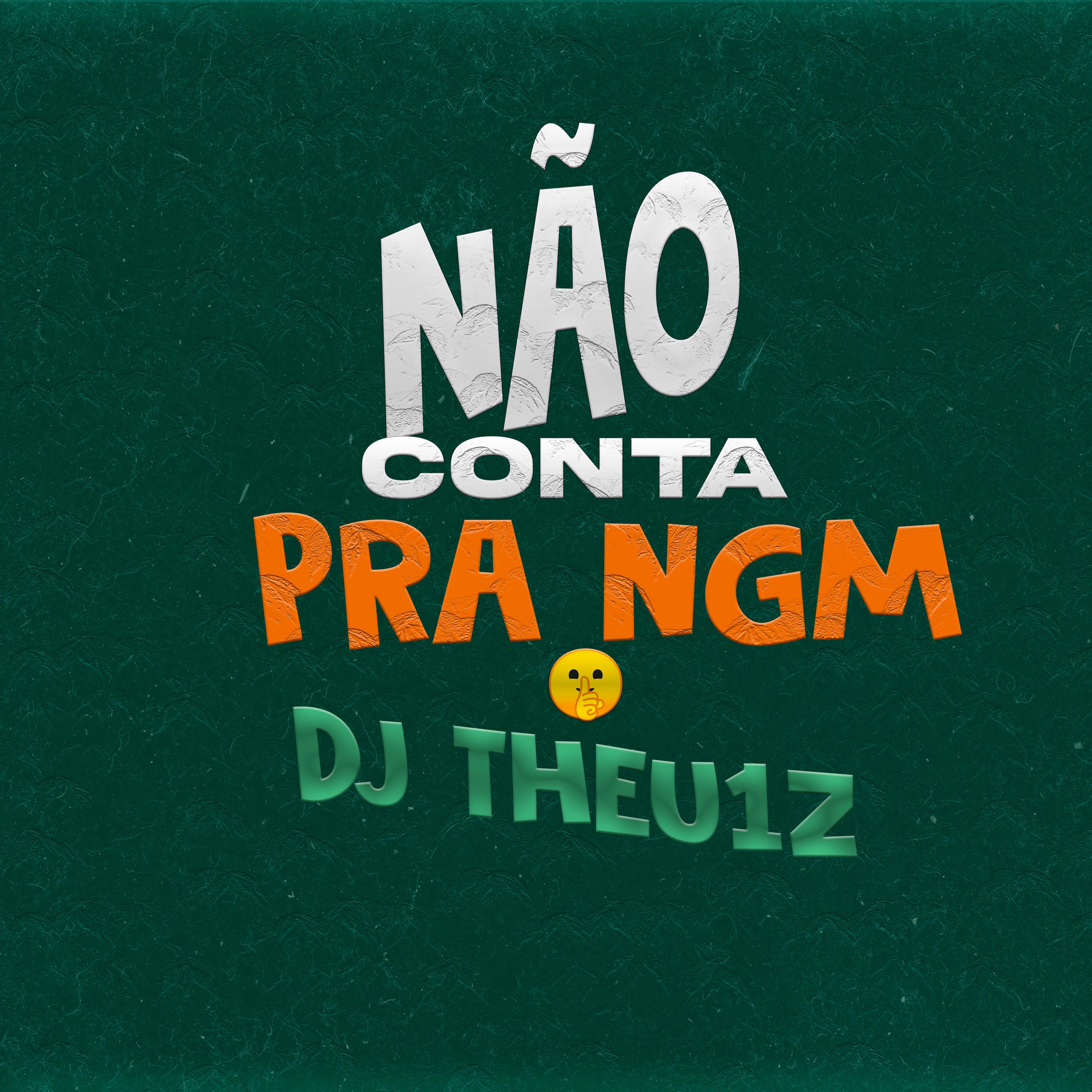 Постер альбома Não Conta pra Ngm