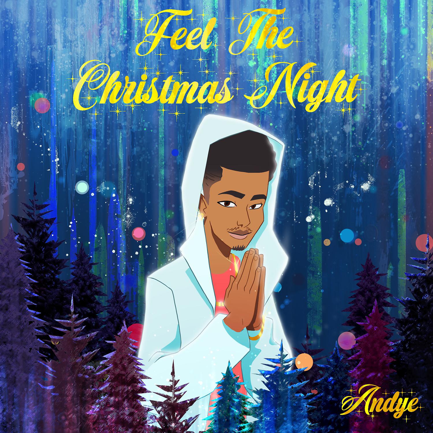 Постер альбома Feeling the Christmas Night
