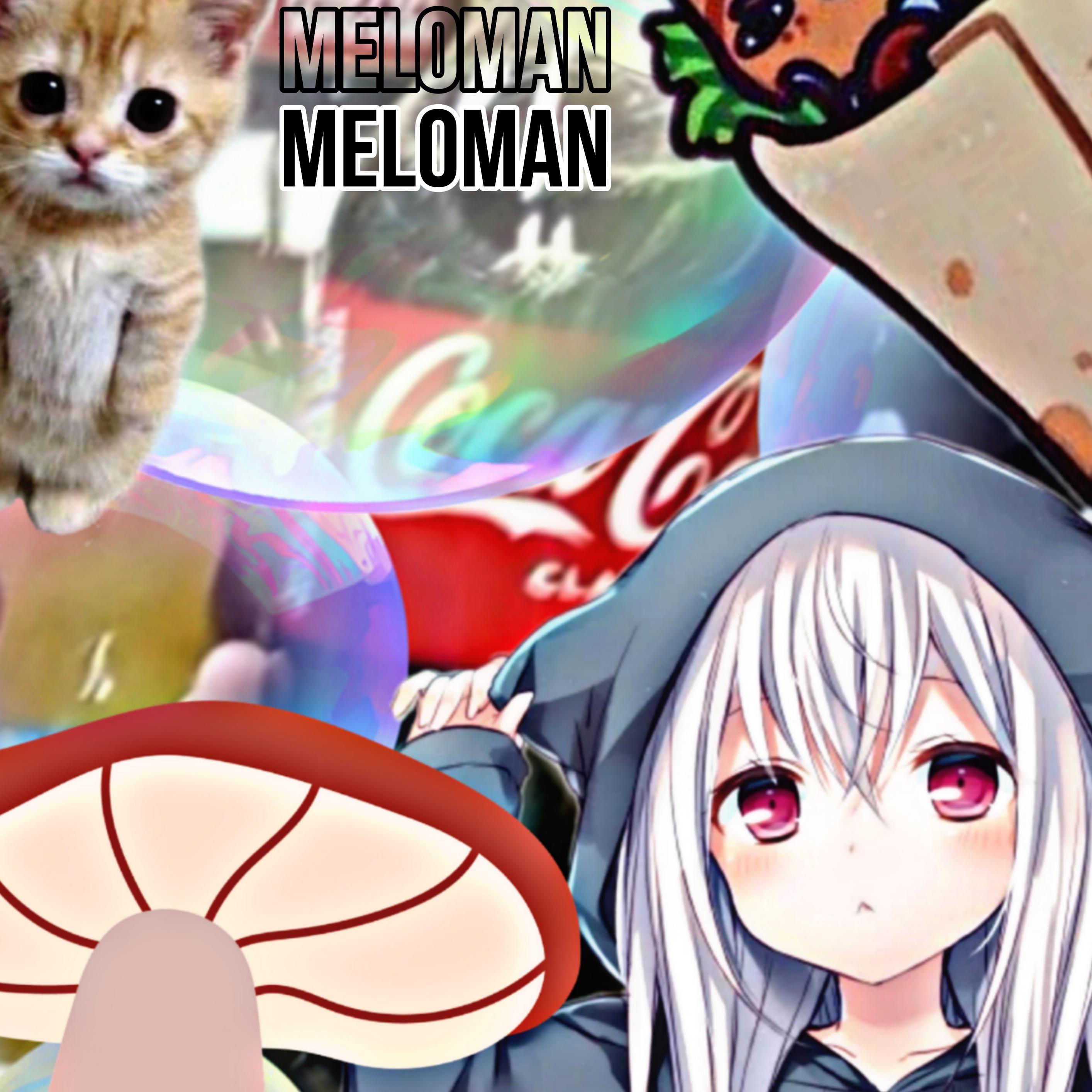 Постер альбома Meloman