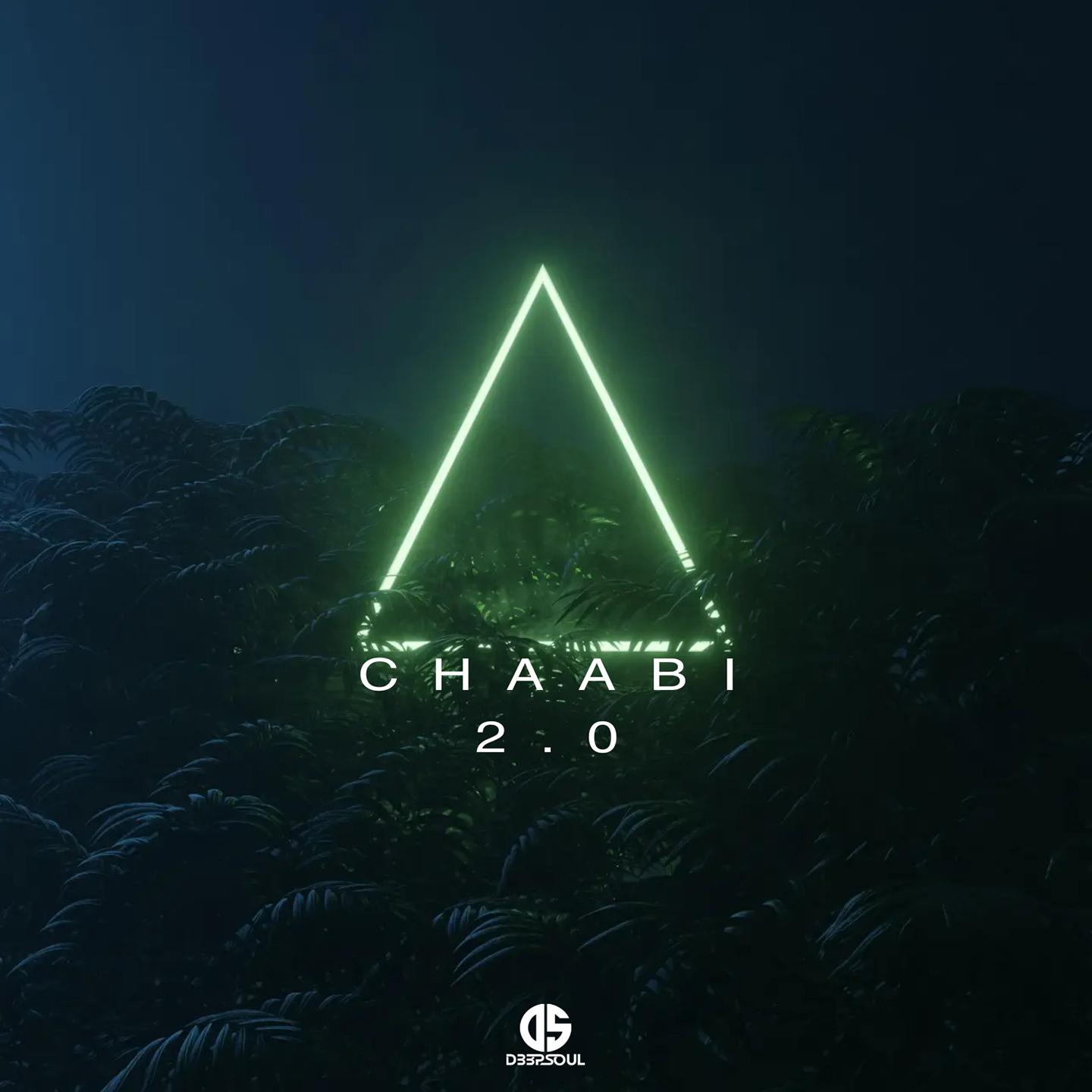 Постер альбома Chaabi 2.0