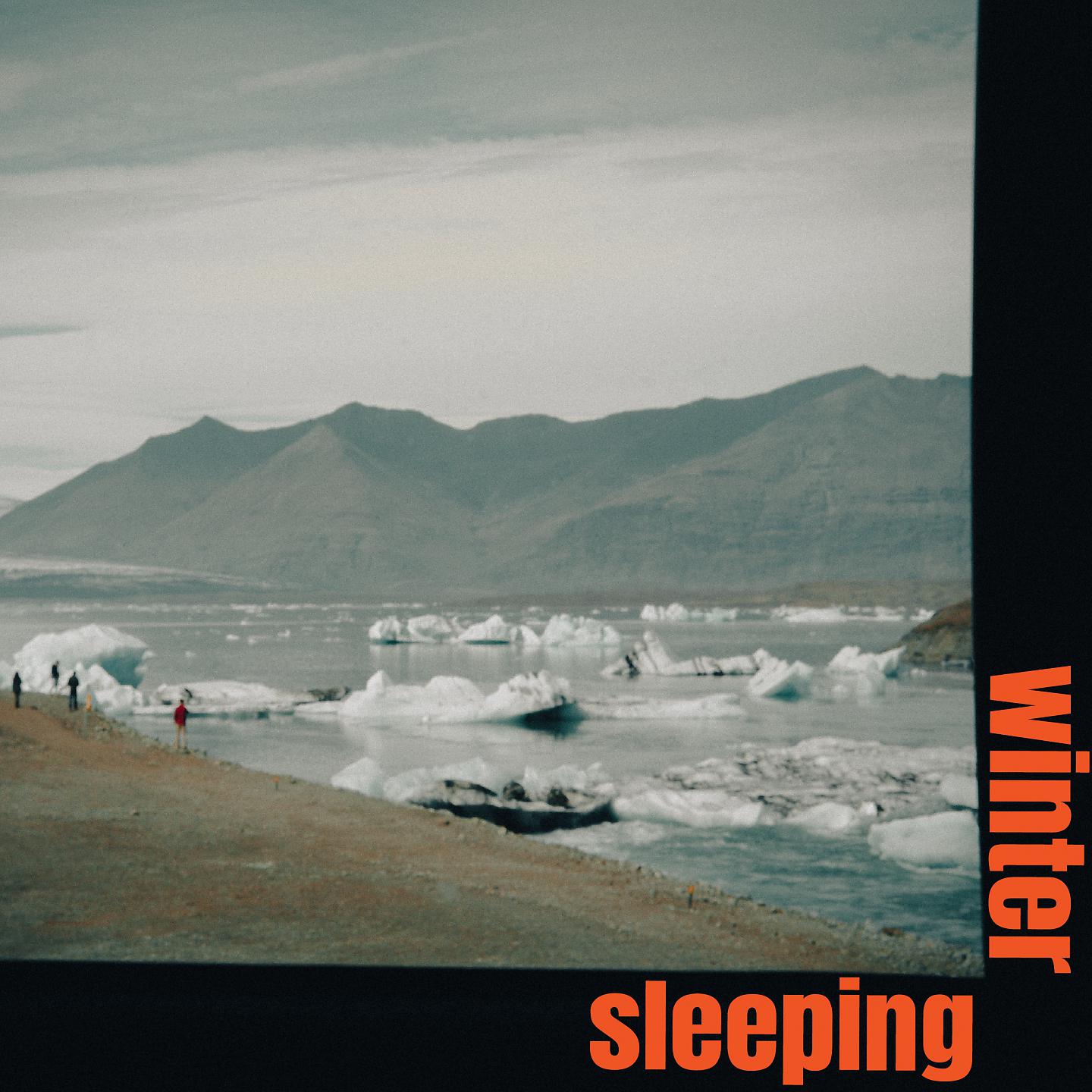 Постер альбома Winter's Sleeping