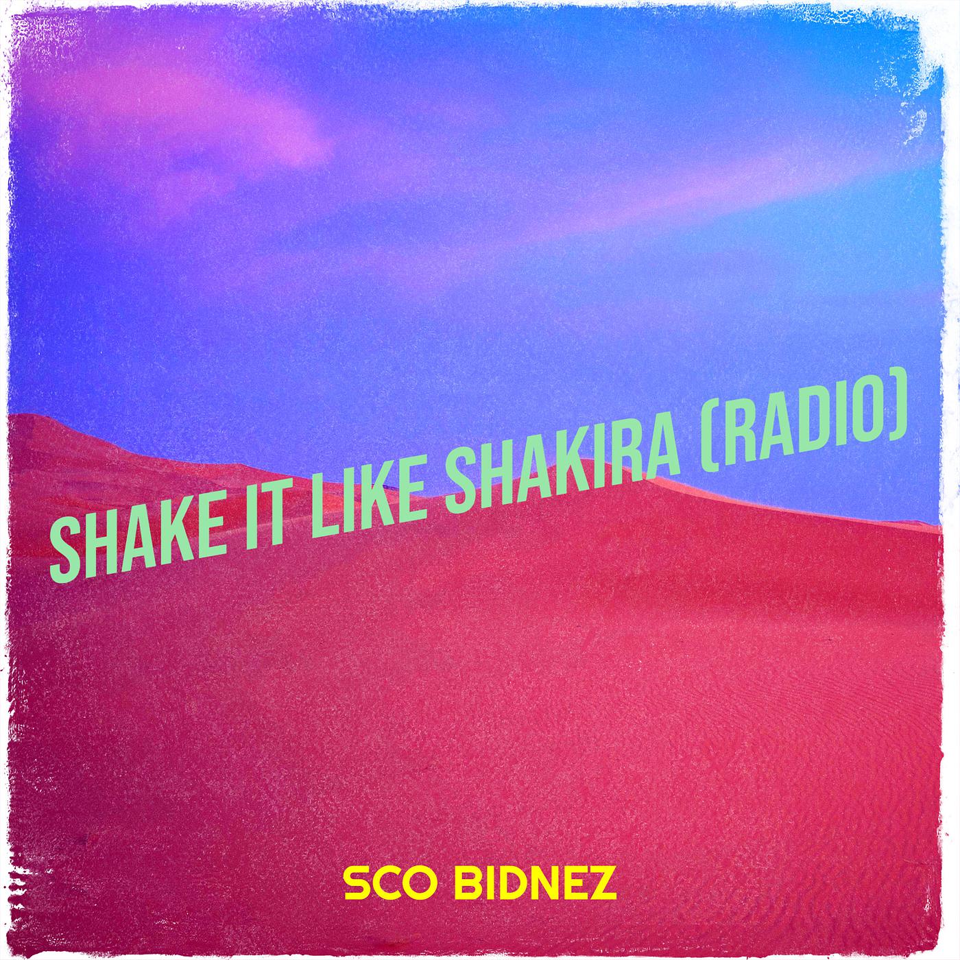 Постер альбома Shake It Like Shakira (Radio)