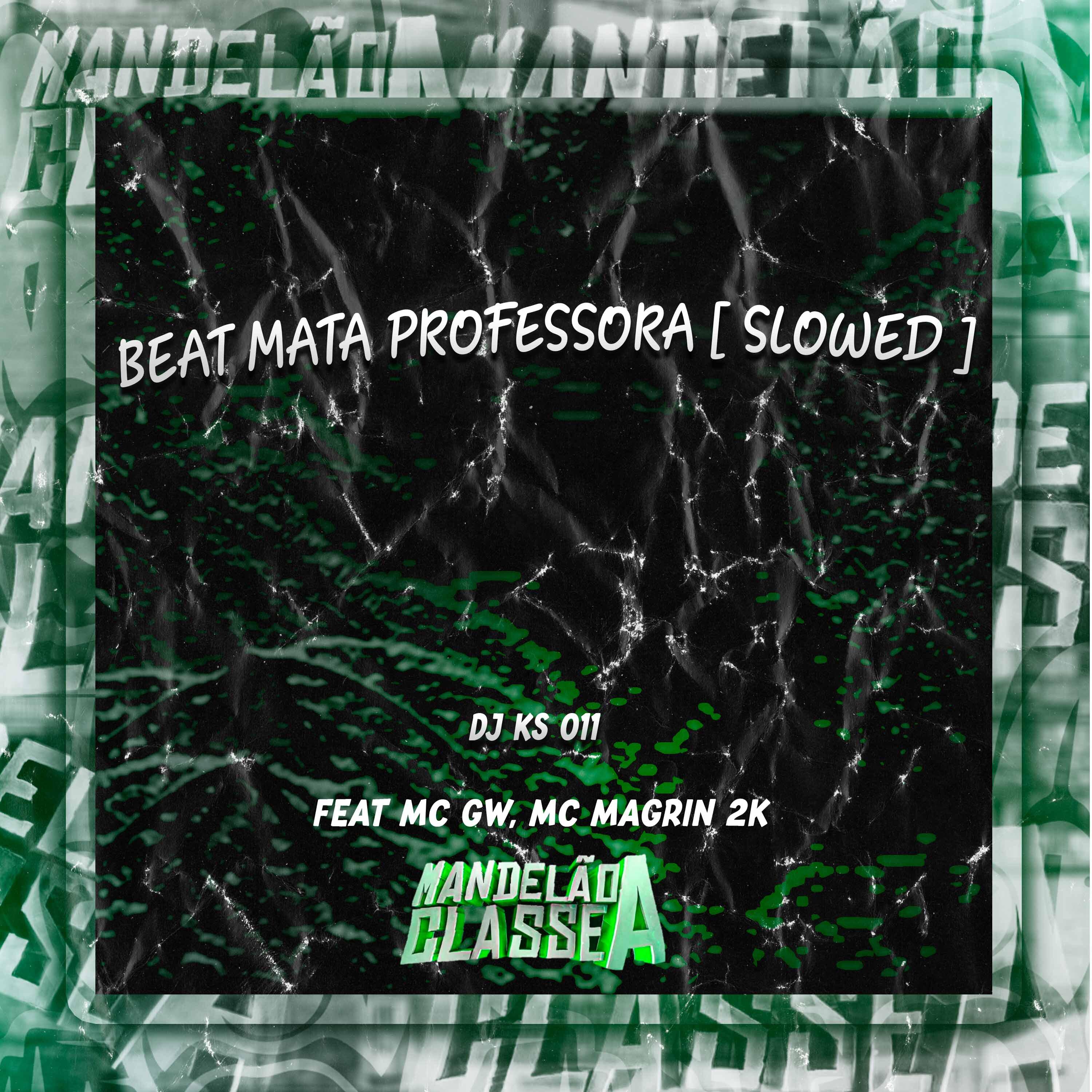 Постер альбома Beat Mata Professora (Slowed)