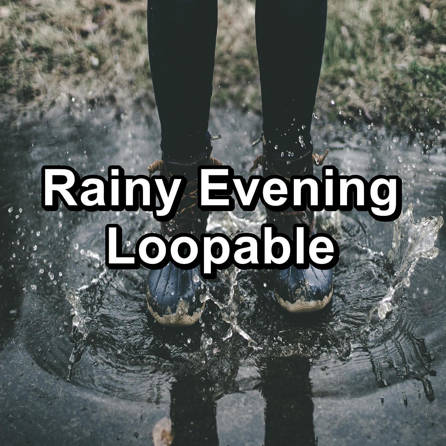 Постер альбома Rainy Evening Loopable
