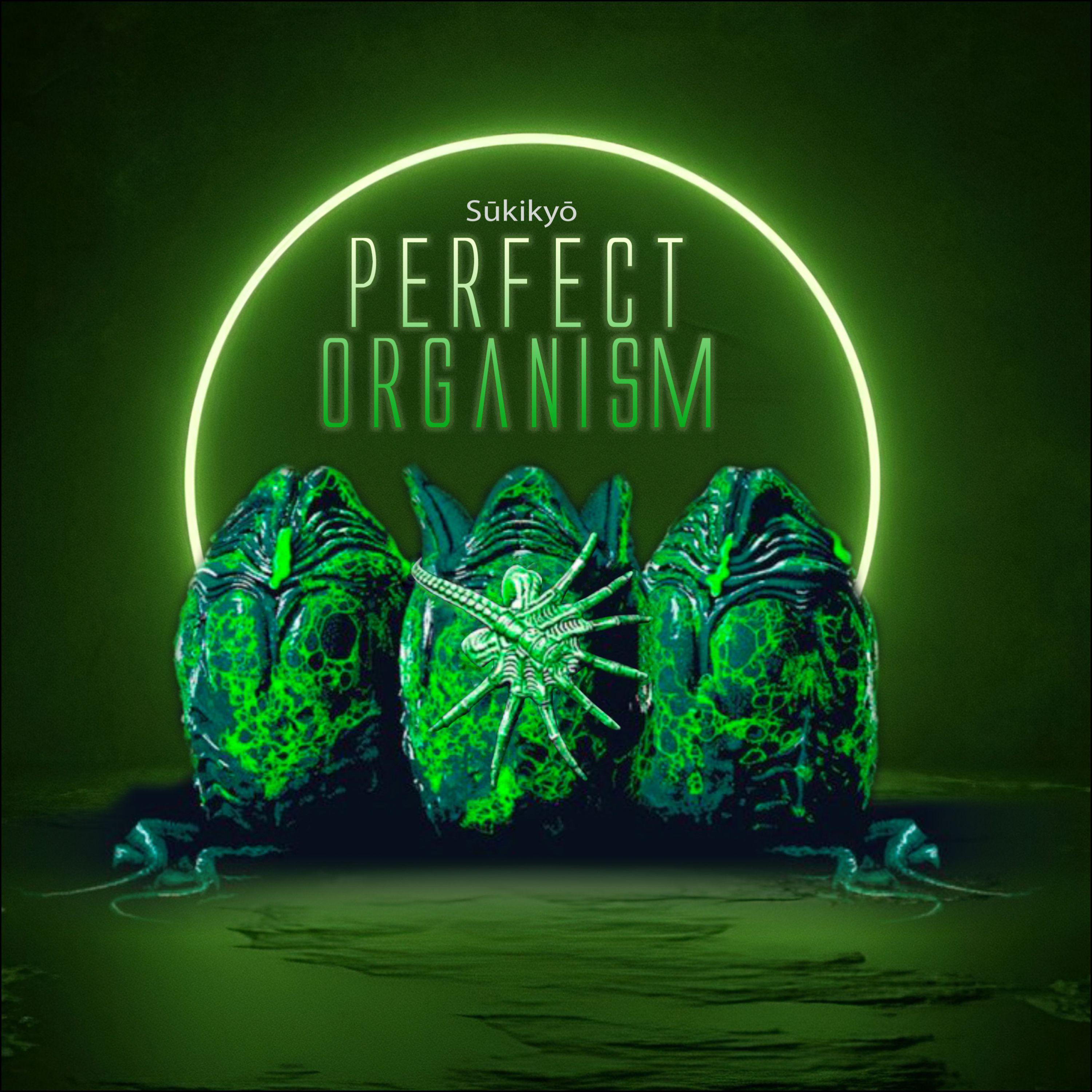 Постер альбома Perfect organism