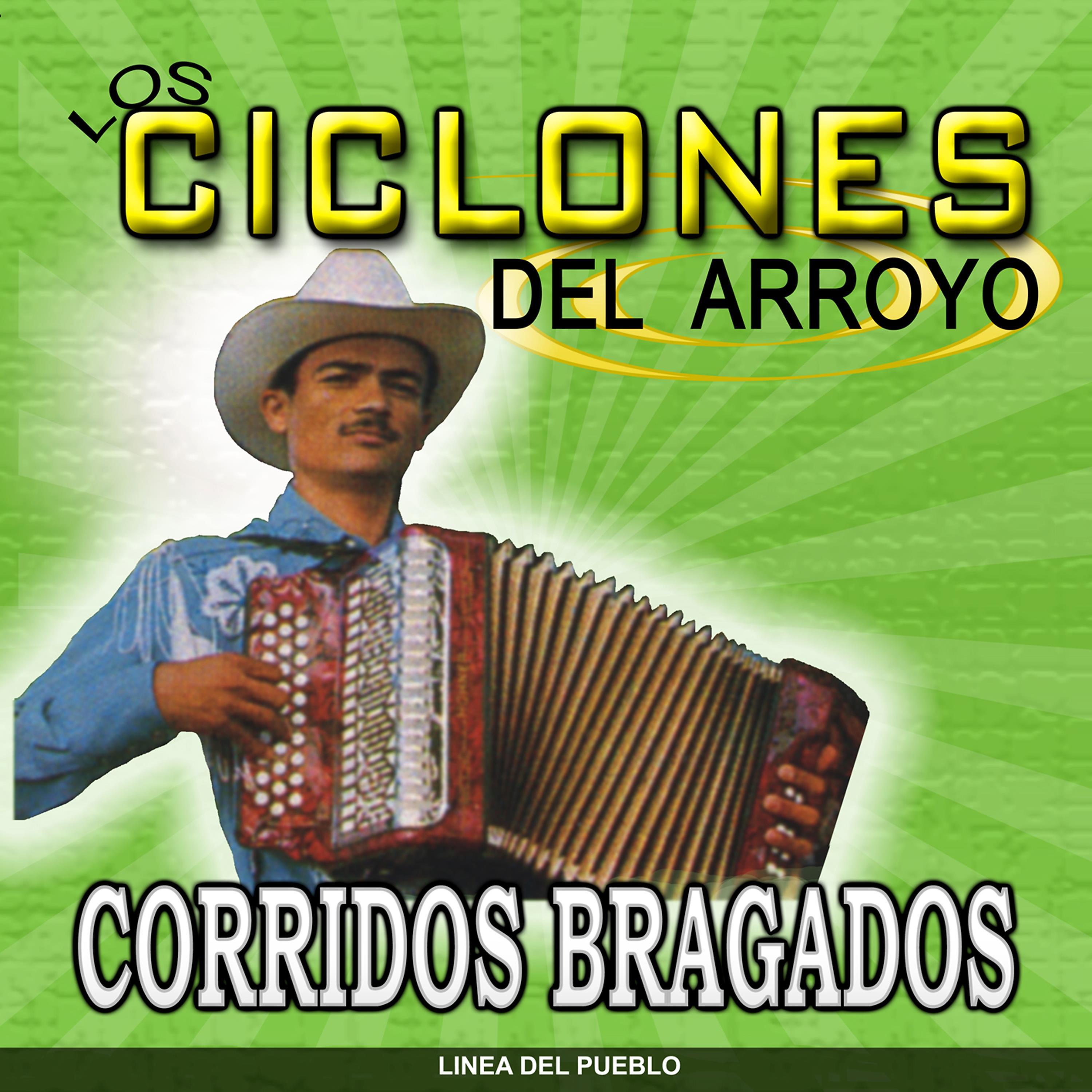Постер альбома Corridos Bragados