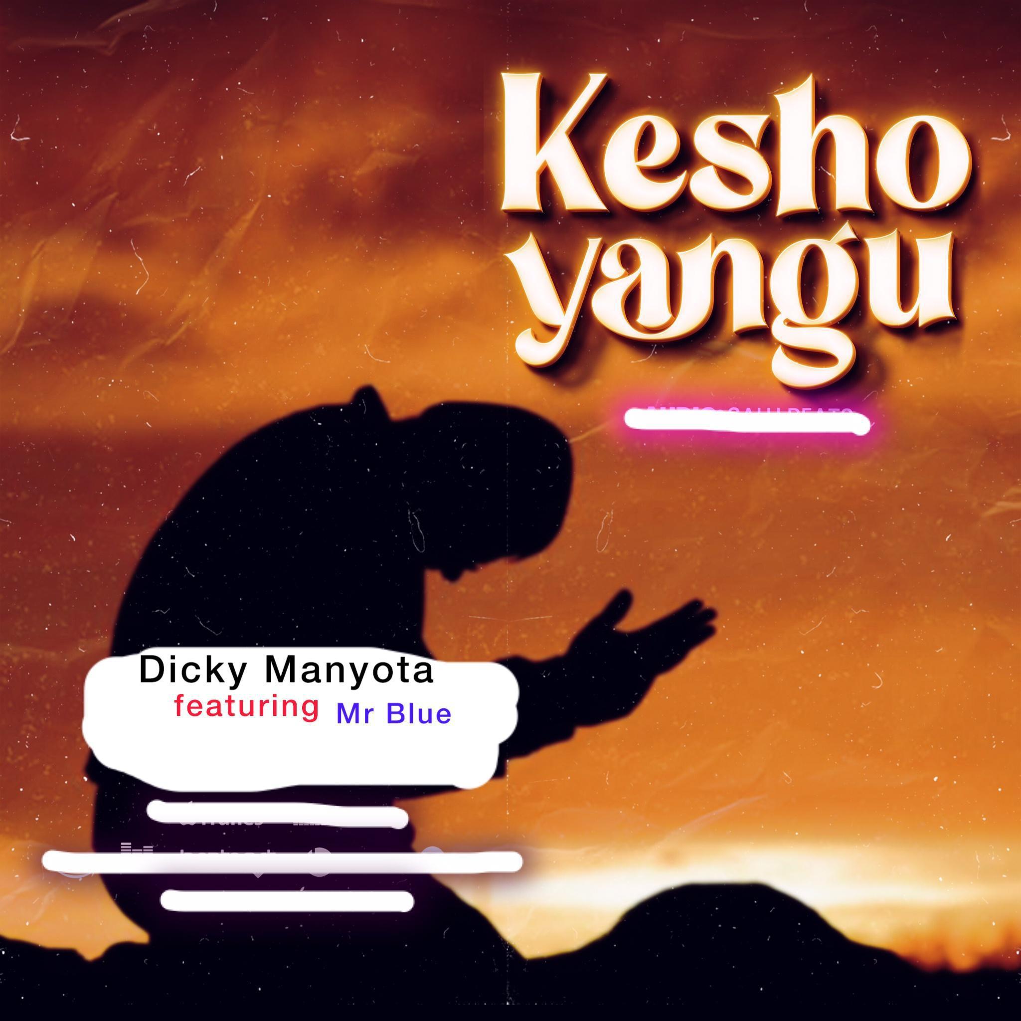 Постер альбома Kesho Yangu (feat. Mr Blue)