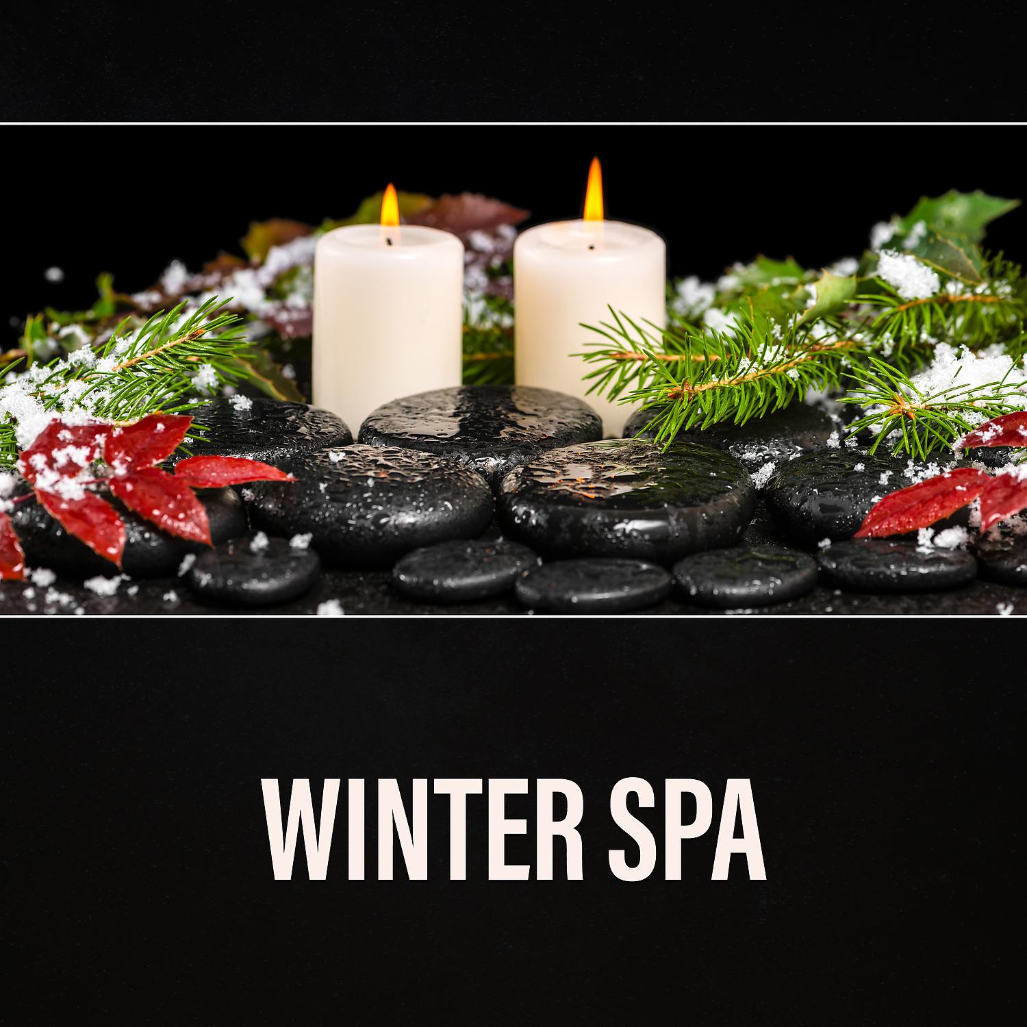 Постер альбома Winter Spa: Wellness for Your Soul, Deep Relaxation, Nature Background, Imagination in the Tropics